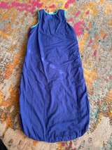 Large- Baby Deedee Sleep Nest Original Baby Sleep Sack Blue/Teal - Image 2