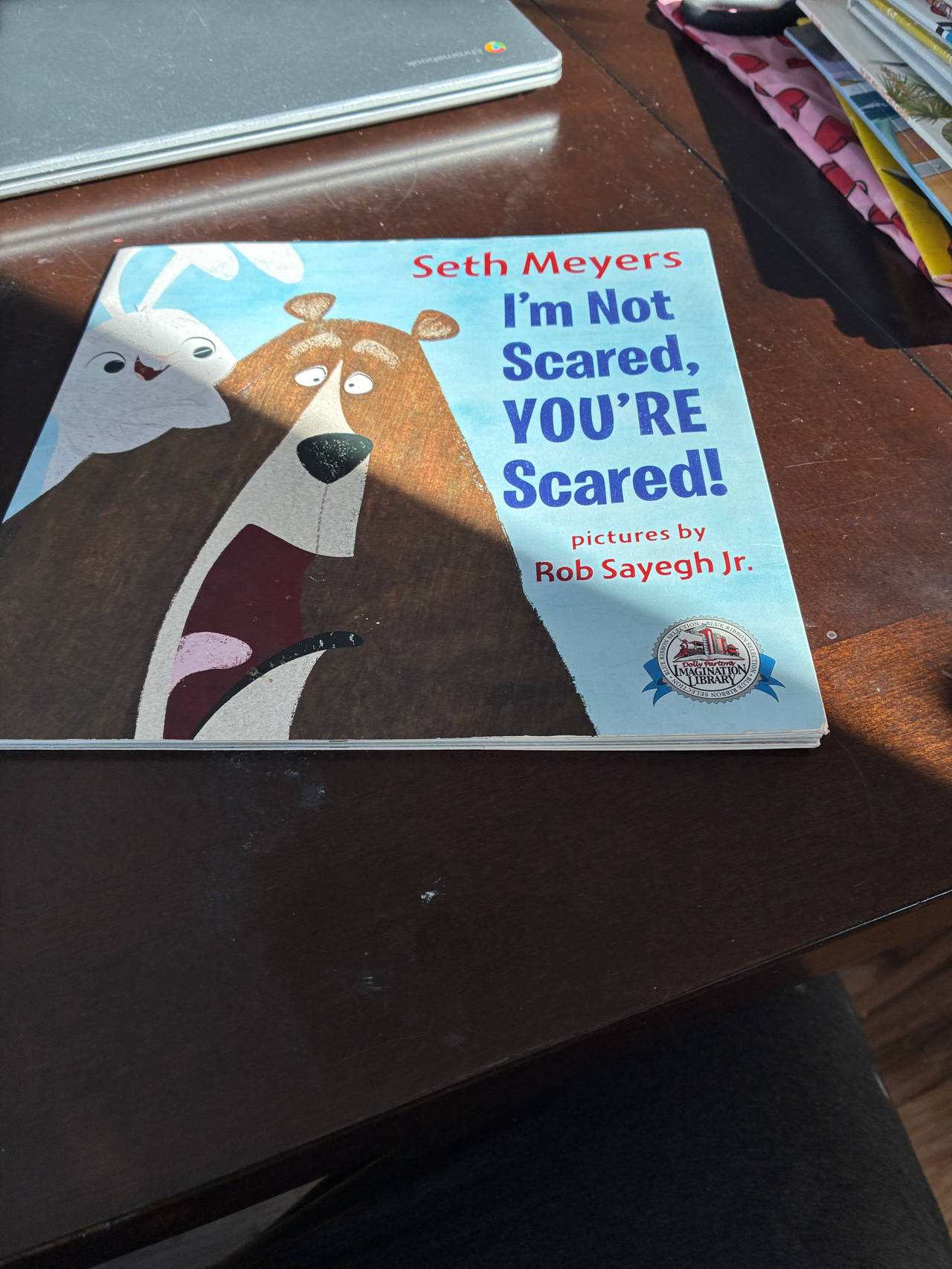 I'm Not Scared, You're Scared! by Seth Meyers