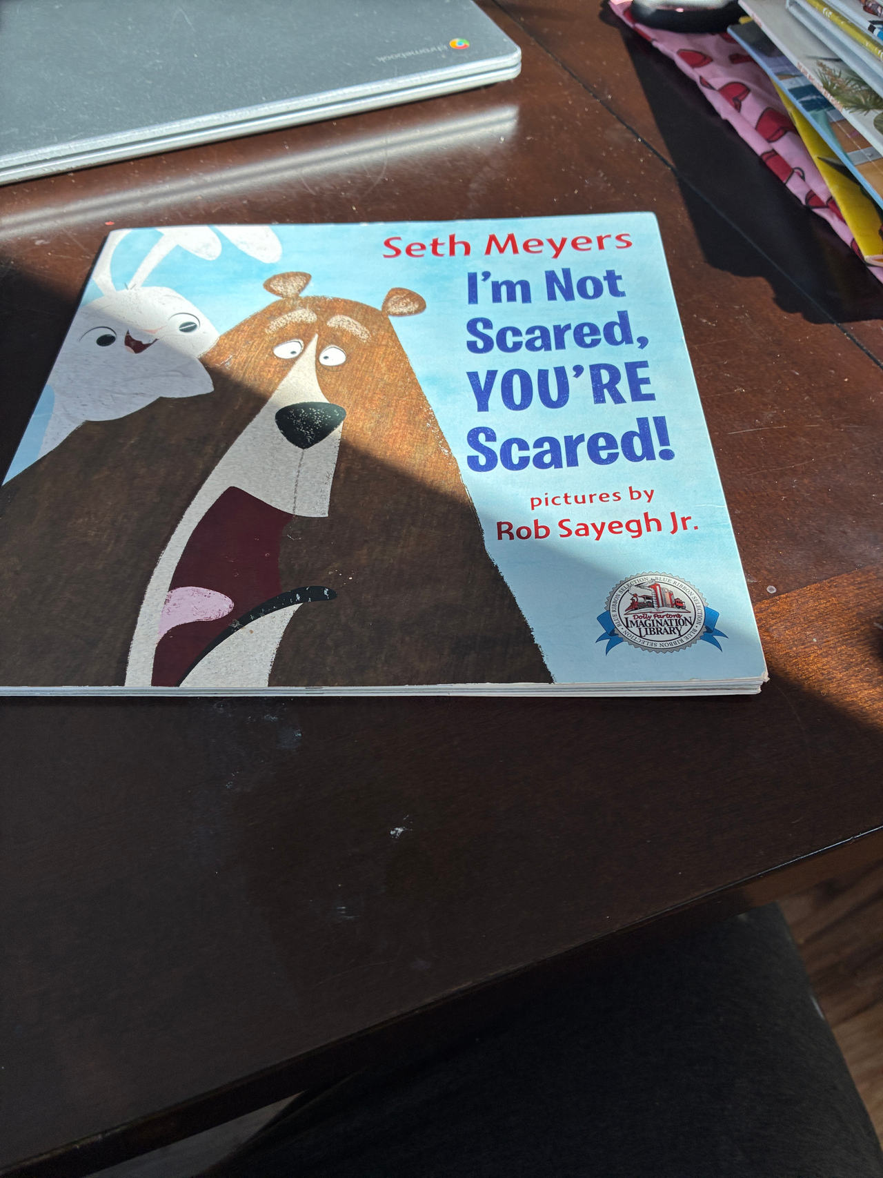 I'm Not Scared, You're Scared! by Seth Meyers
