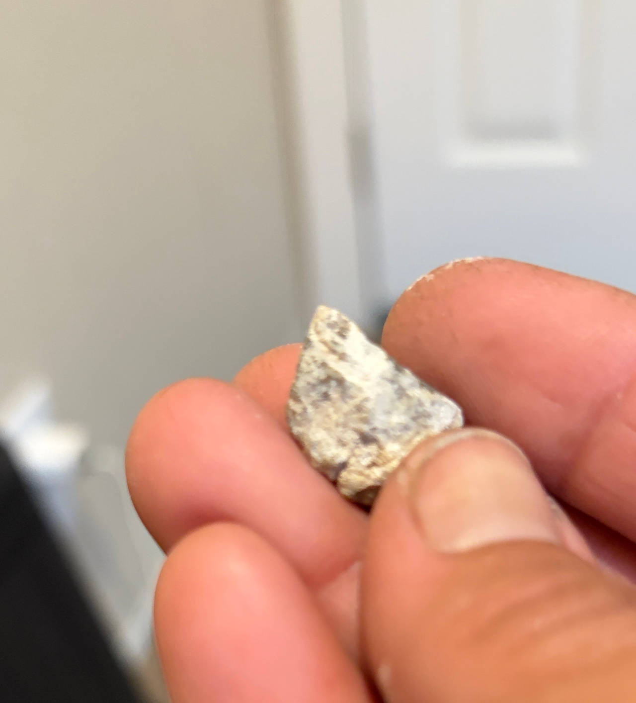 Authentic Arrowhead Fragment
