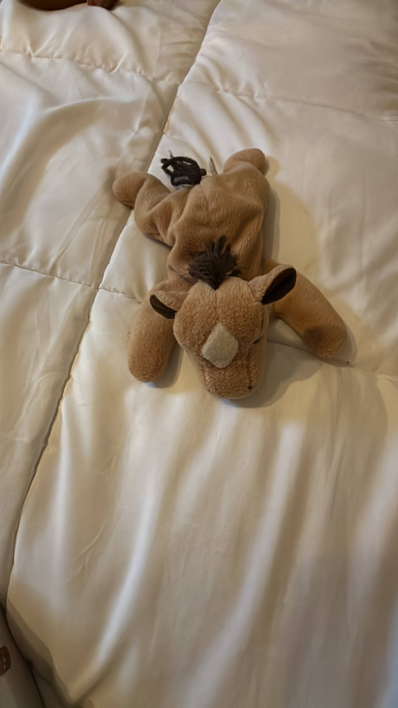 Ty Beanie Baby Derby the Horse
