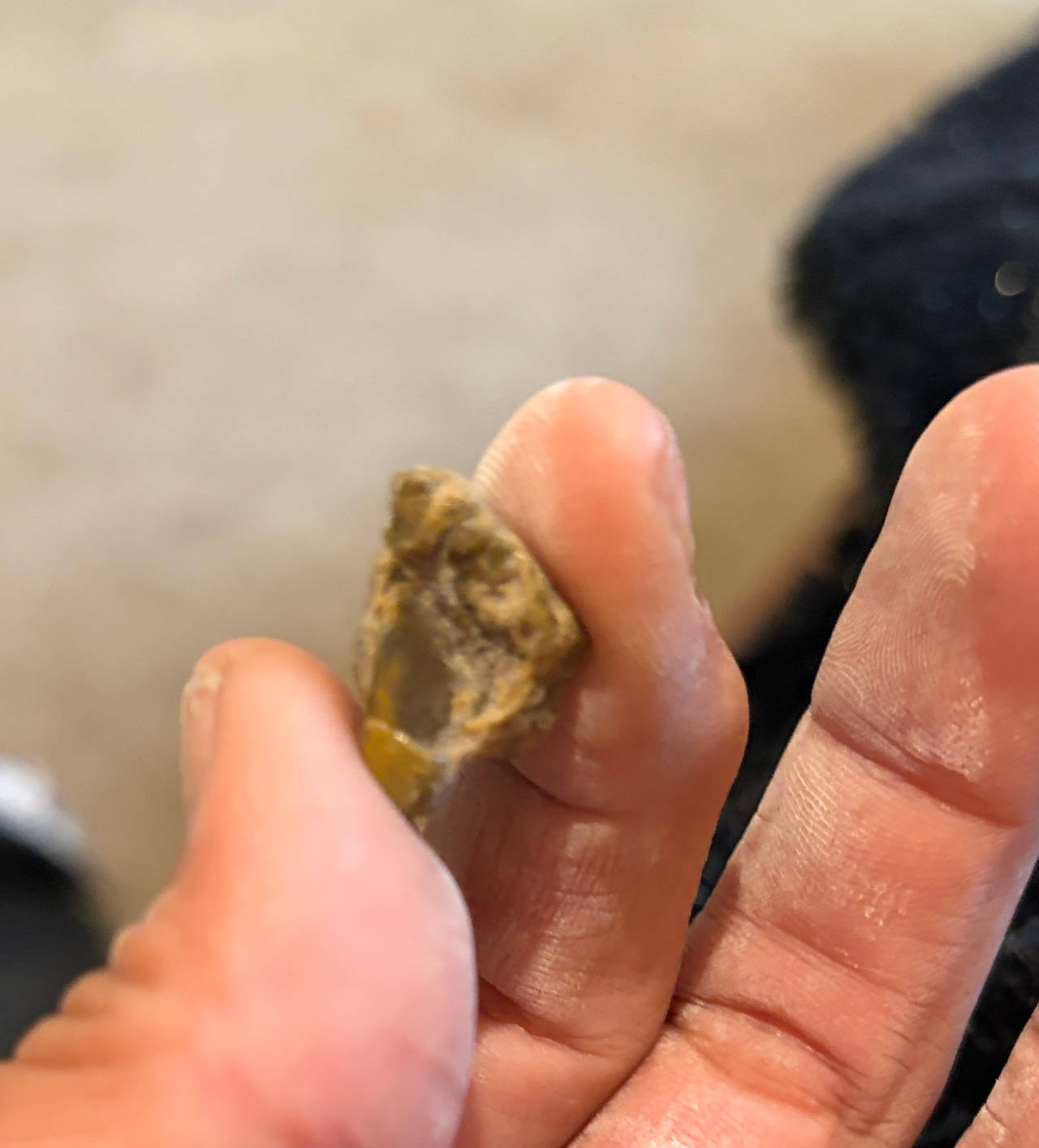 Native American Arrowhead Fragment