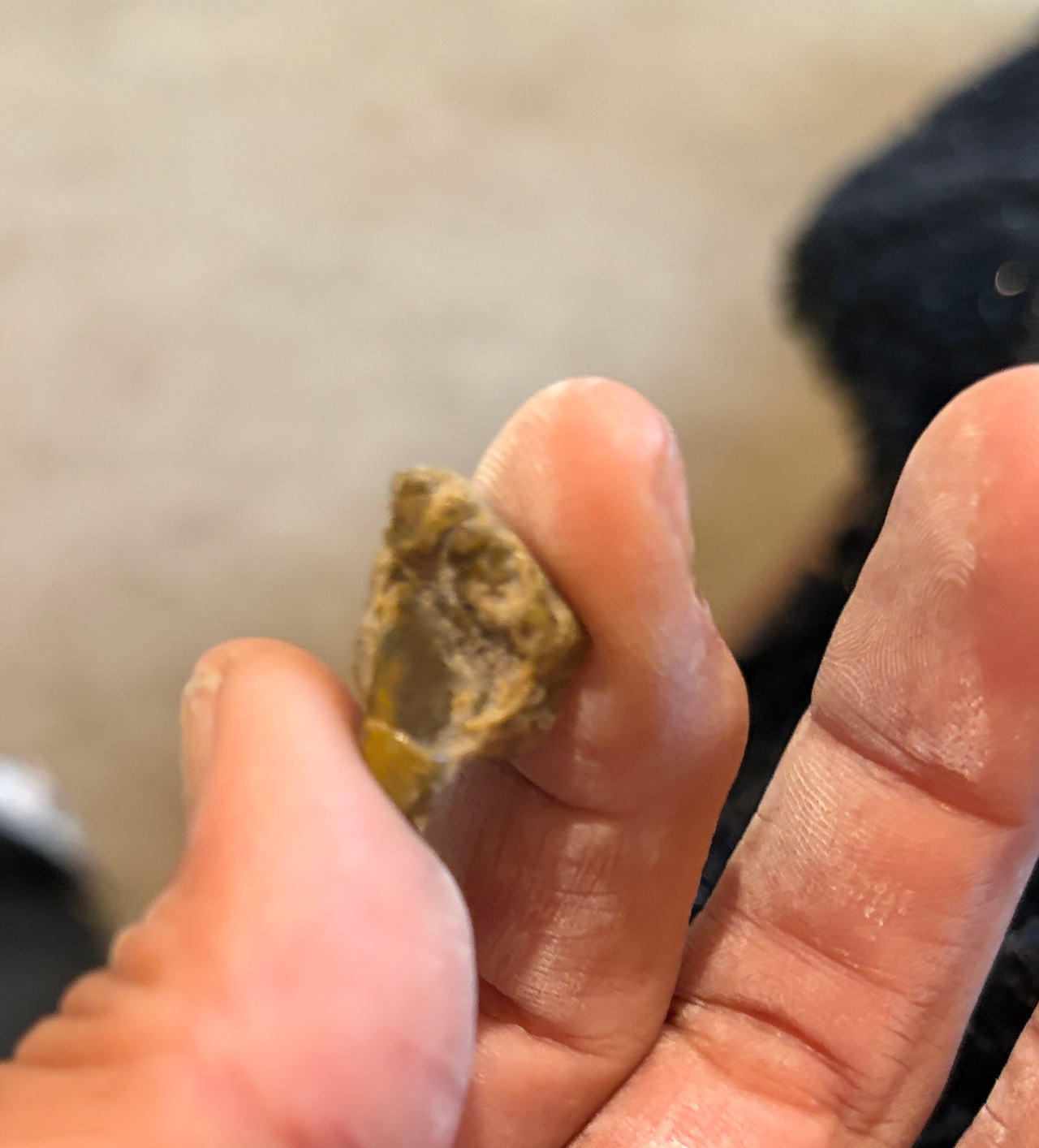 Native American Arrowhead Fragment