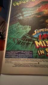 Superman Adventures Special #1: Superman vs. Lobo - Image 8
