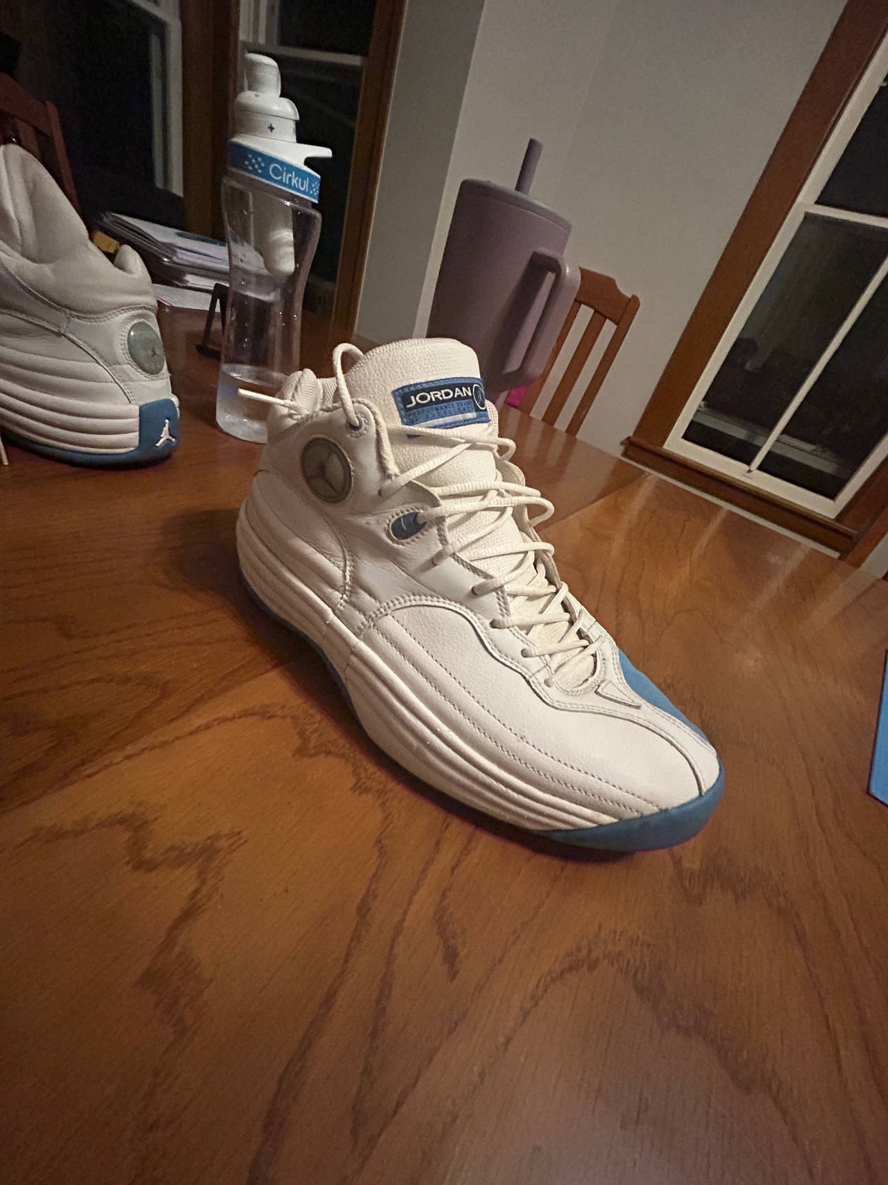 Air Jordan Jumpman Pro Quick