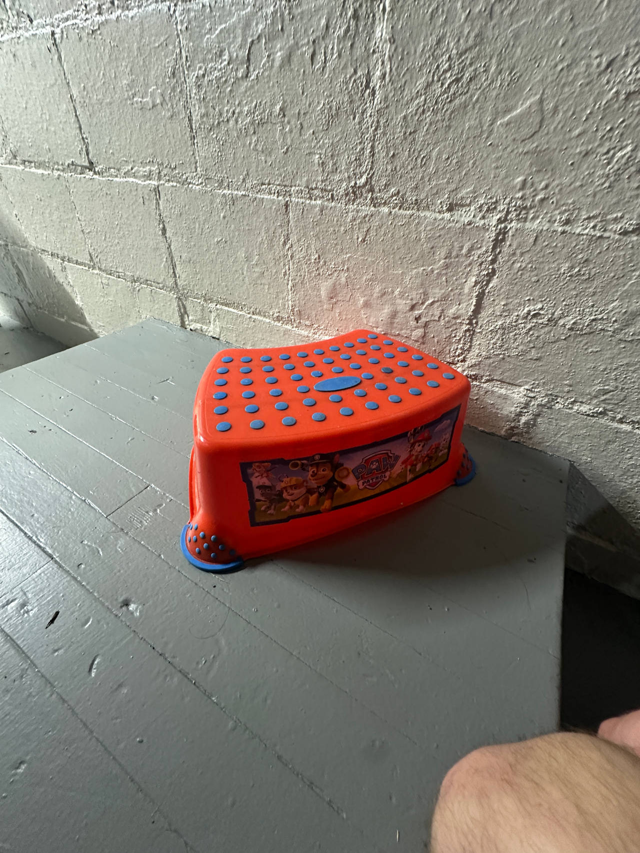 Paw Patrol Kids Step Stool