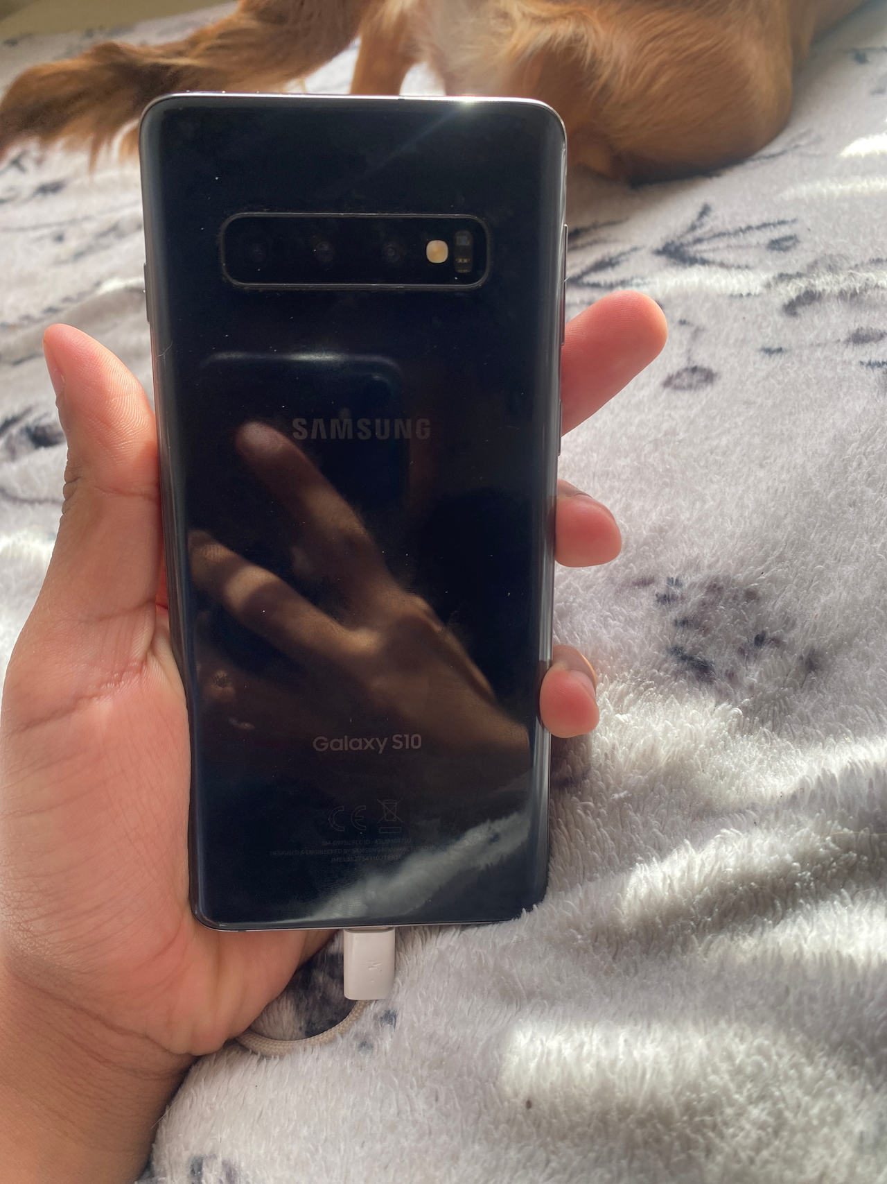 Samsung Galaxy S10