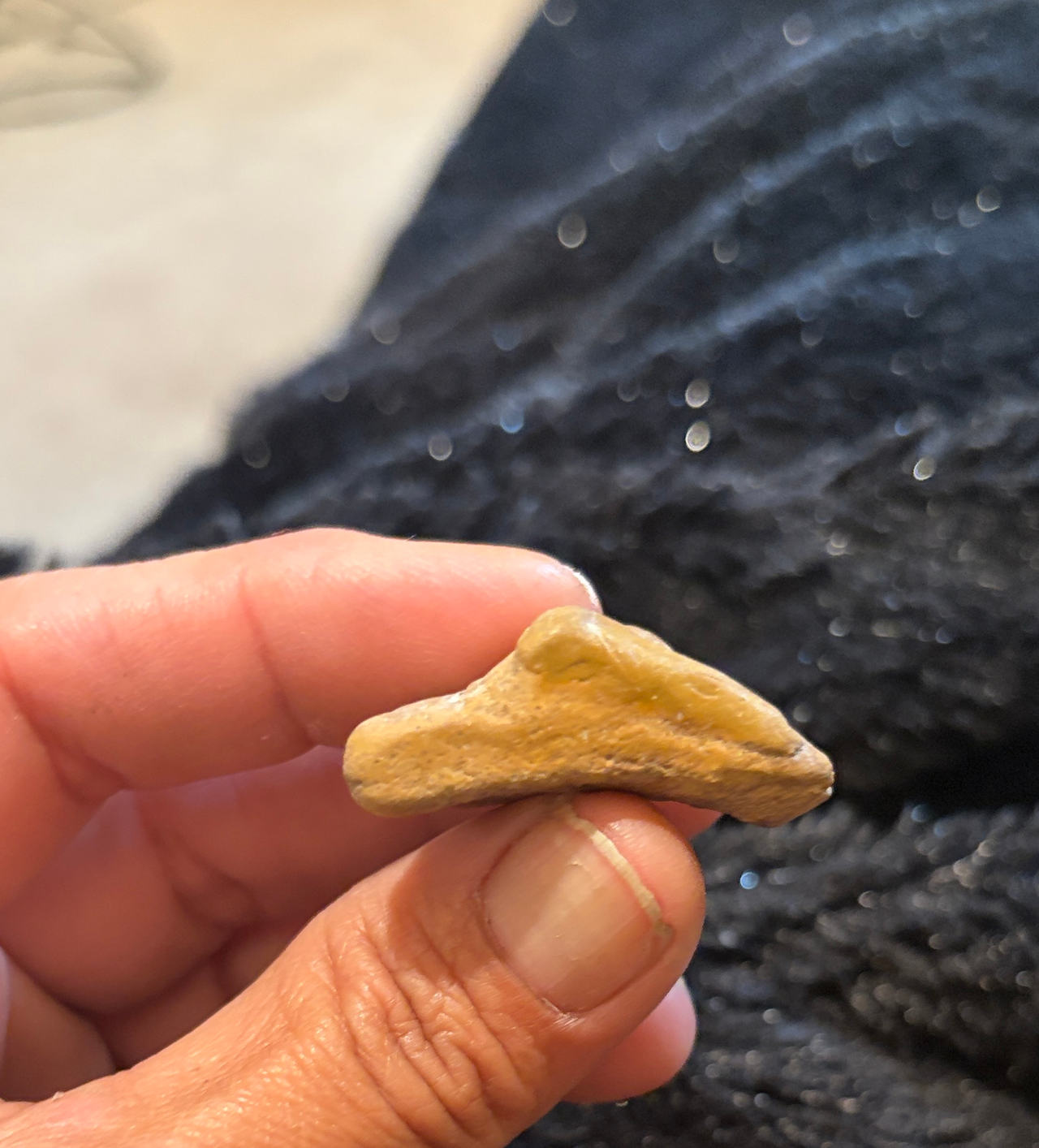 Native American Stone Tool Artifact