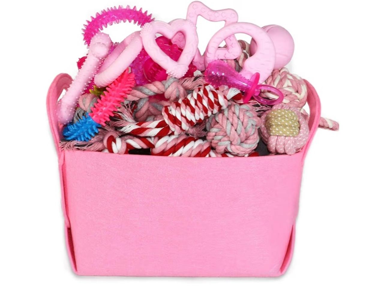 Puppy Toys Set - 20 Pack Pink Dog Chew Toys for Teething Small Breeds - Tough