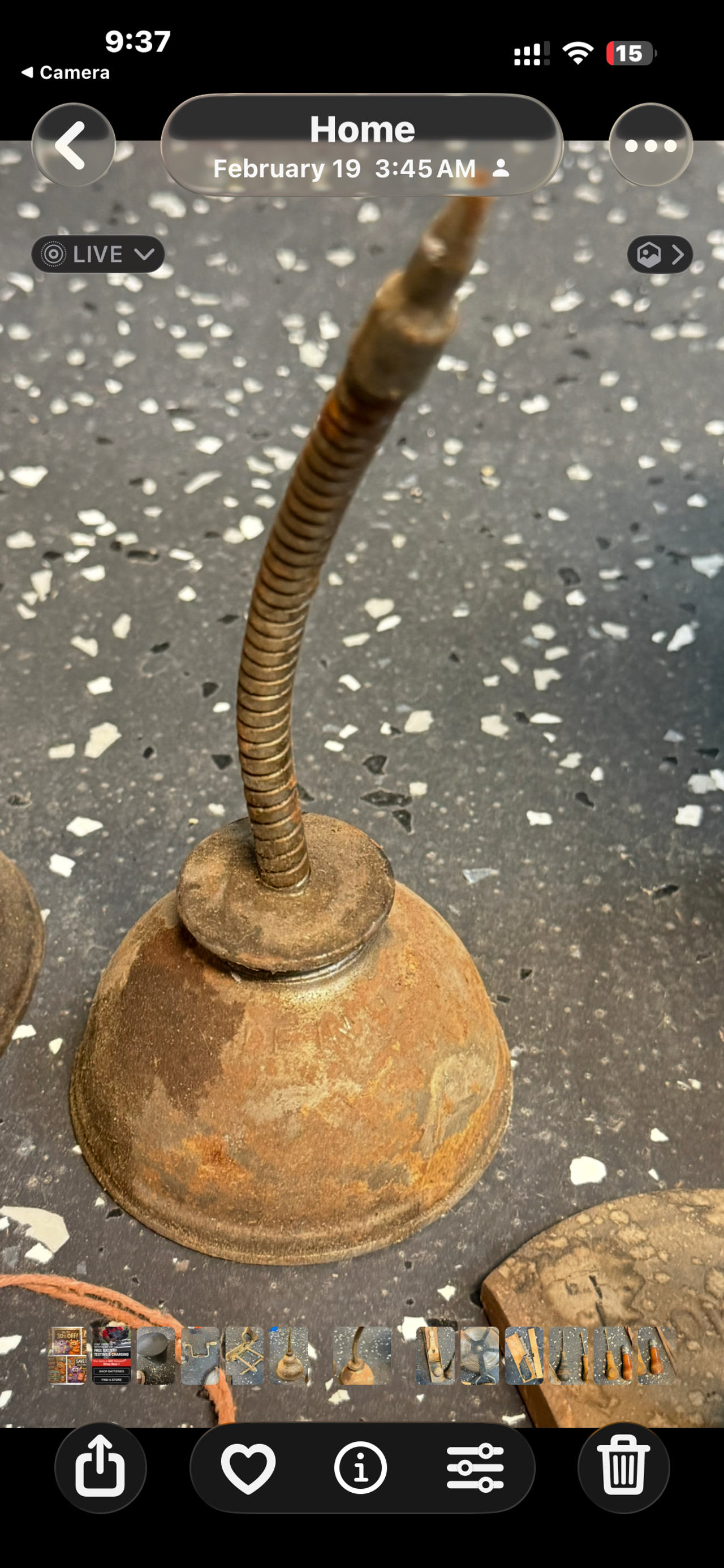 Eagle Vintage Flexible Spout Oil Can
