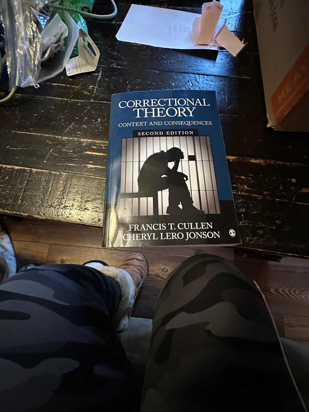 Correctional Theory: Context and Consequences (Second Edition)