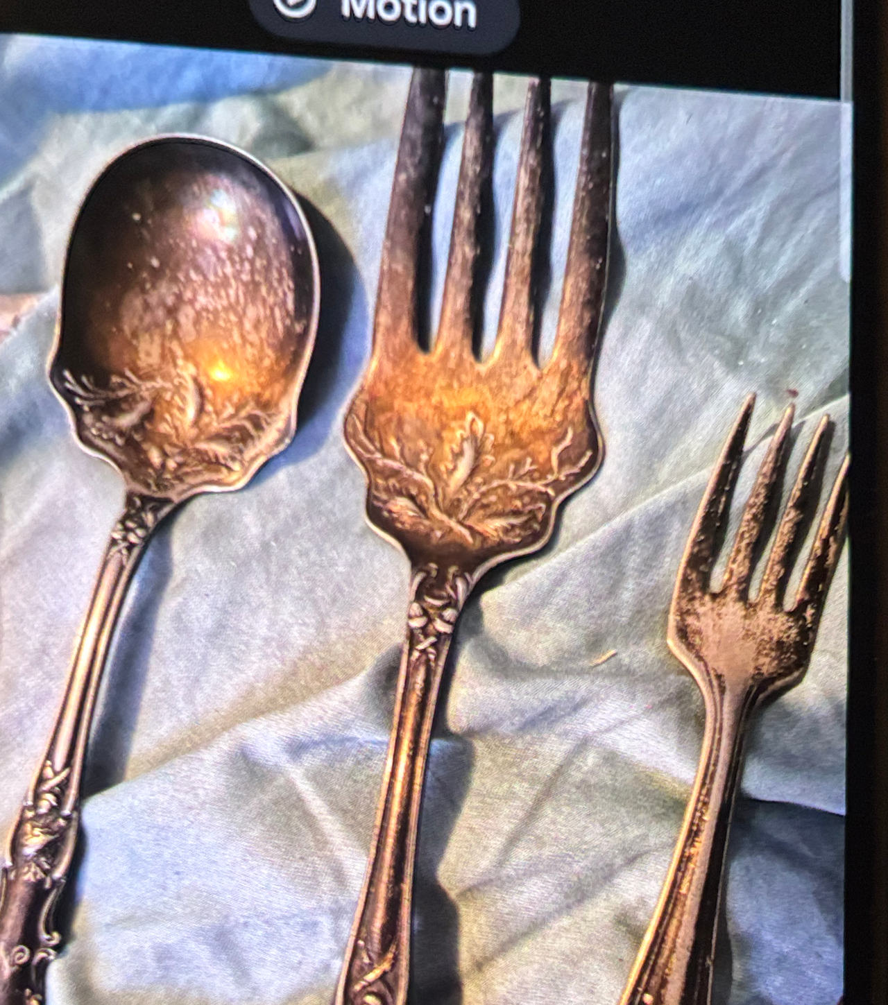International Silver Spring Glory Flatware Set