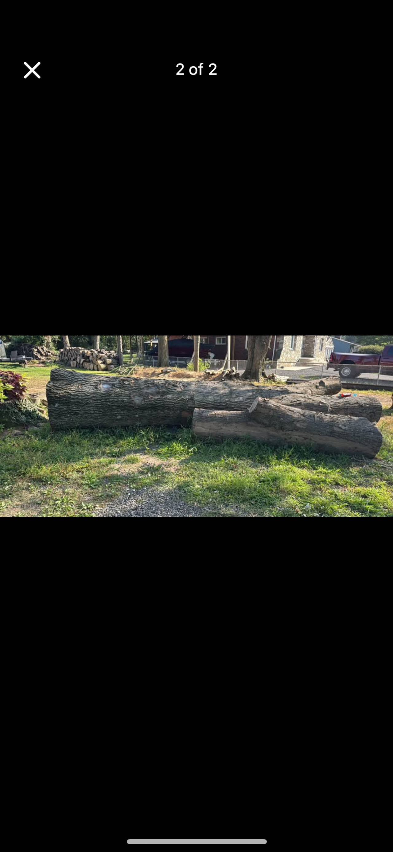Tree Logs