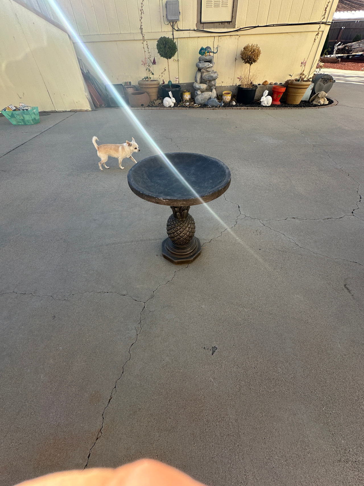 Outdoor Bird Bath