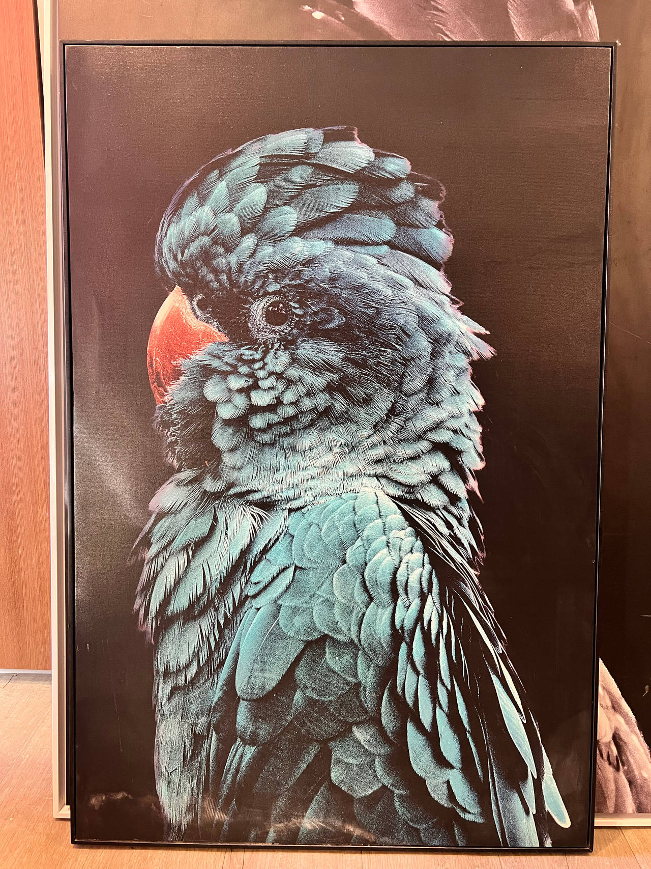 Parrot Wall Art Print
