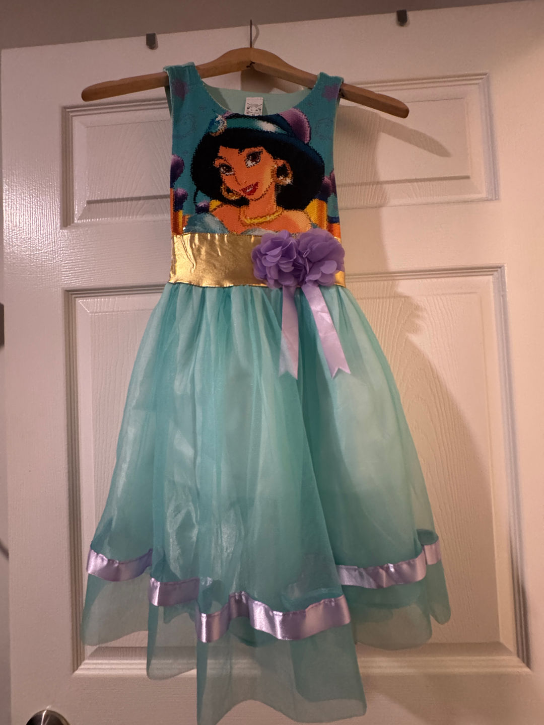 Disney Princess Jasmine Dress