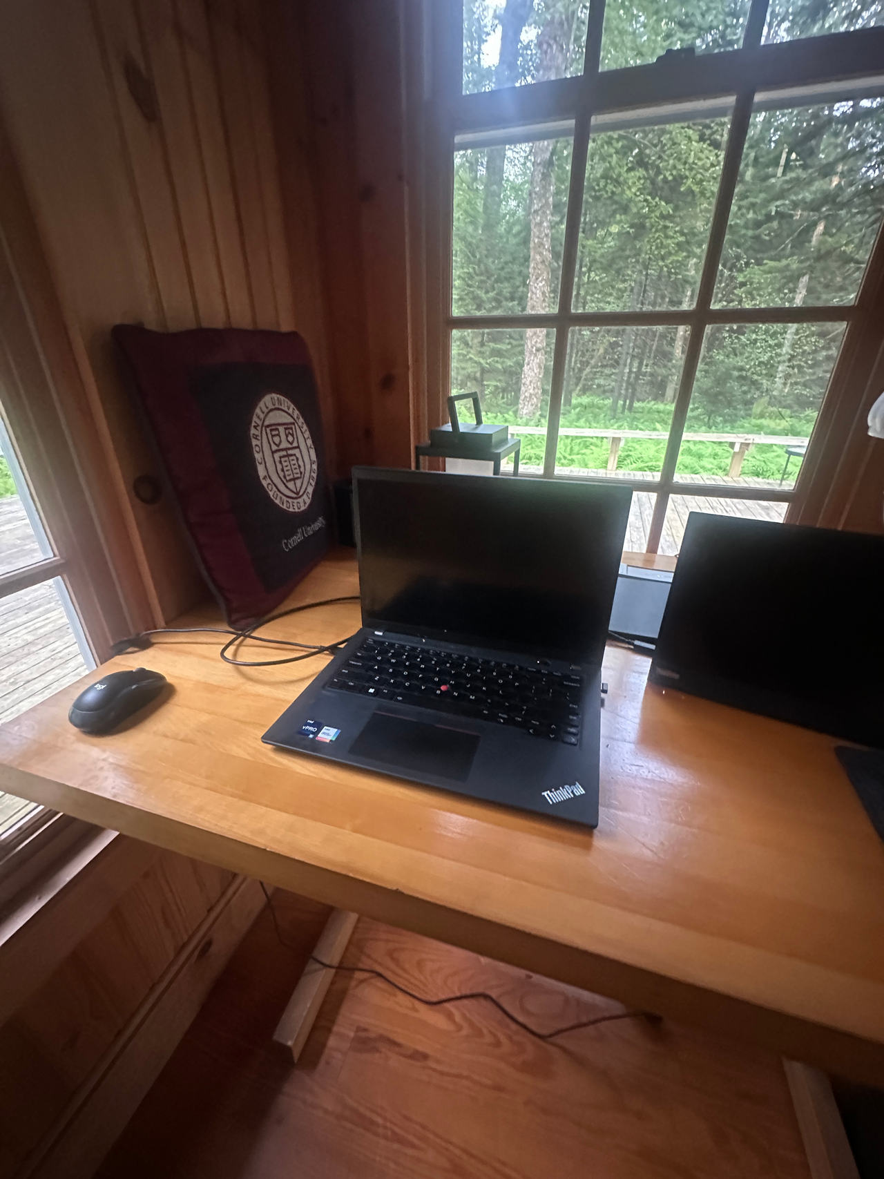 Lenovo ThinkPad