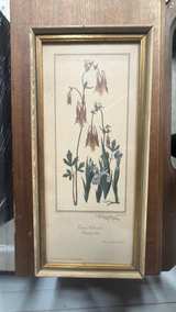 Ray Harm Framed Wildflower Prints Set of 3 - Image 3