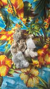 Mixed Raw Crystal and Mineral Specimen Lot(5) - Image 2