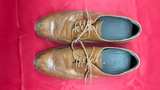 Cole Haan Brown Leather Wingtip Oxfords - Image 6