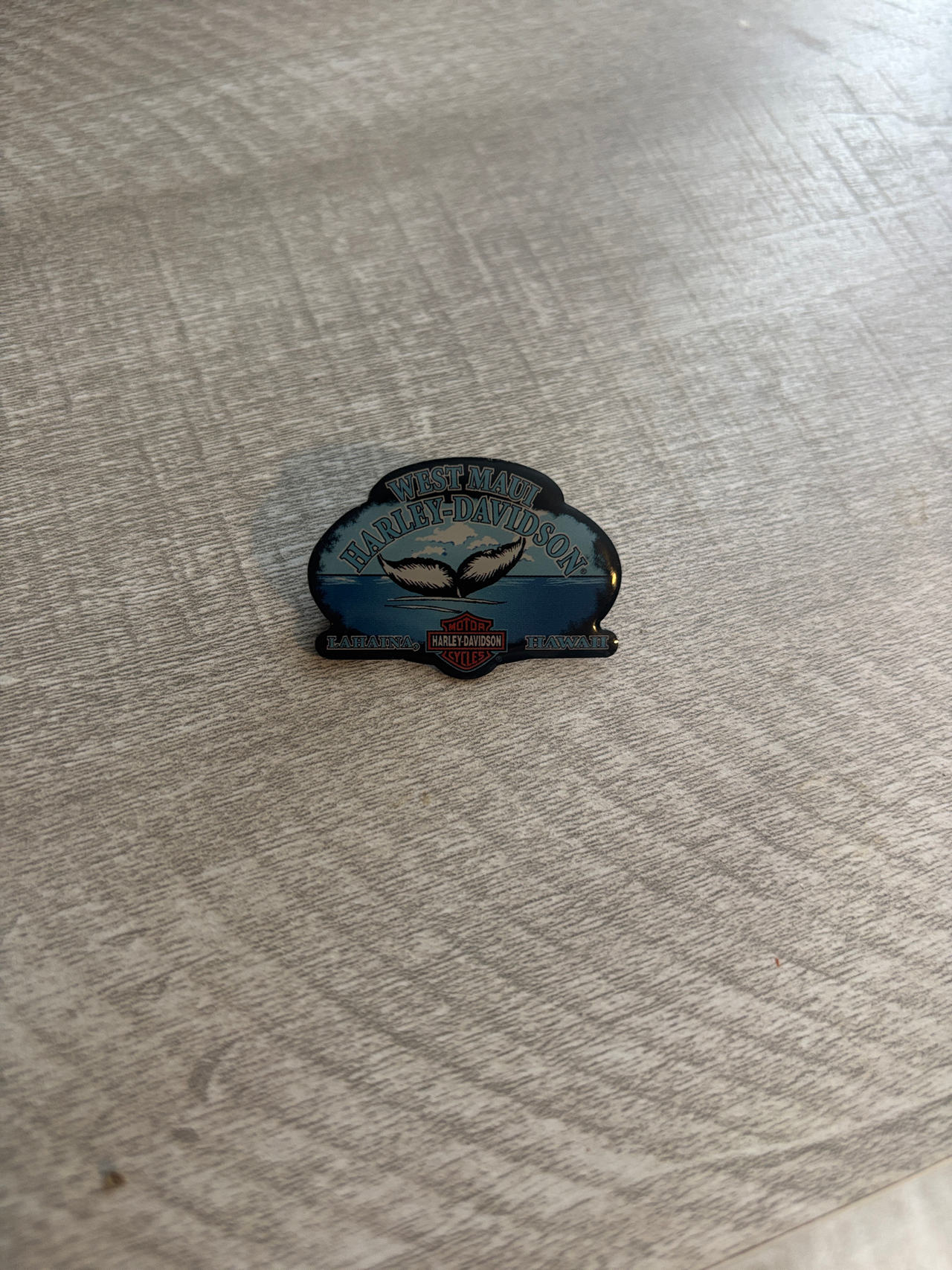 Harley-Davidson Pin