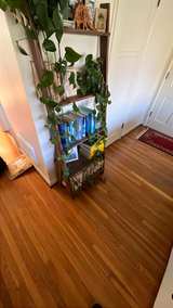 Studio Wall Bookshelf - Walnut - Image 4