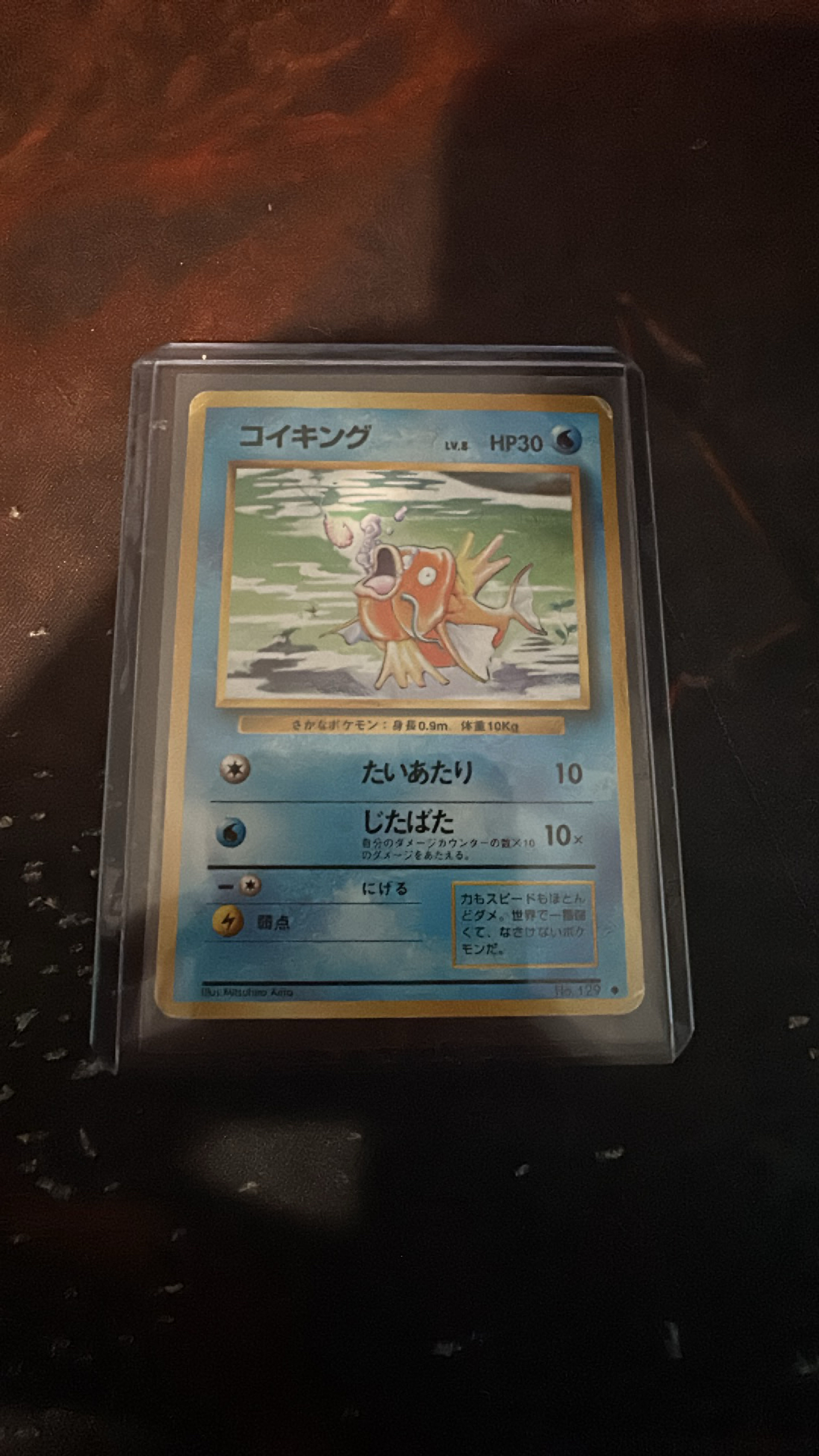 Magikarp Pokémon Card (Japanese)