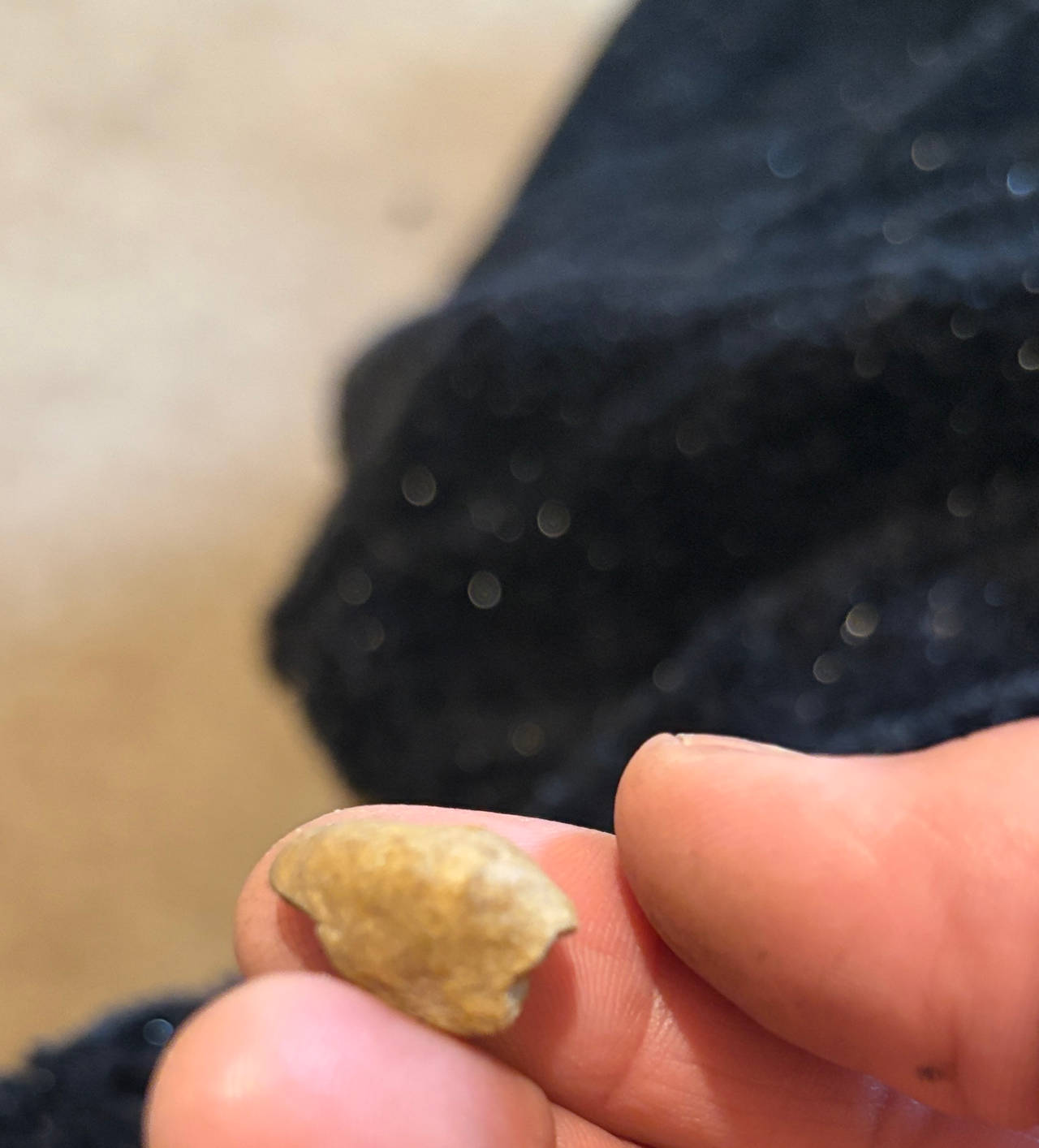 Native American Arrowhead Fragment