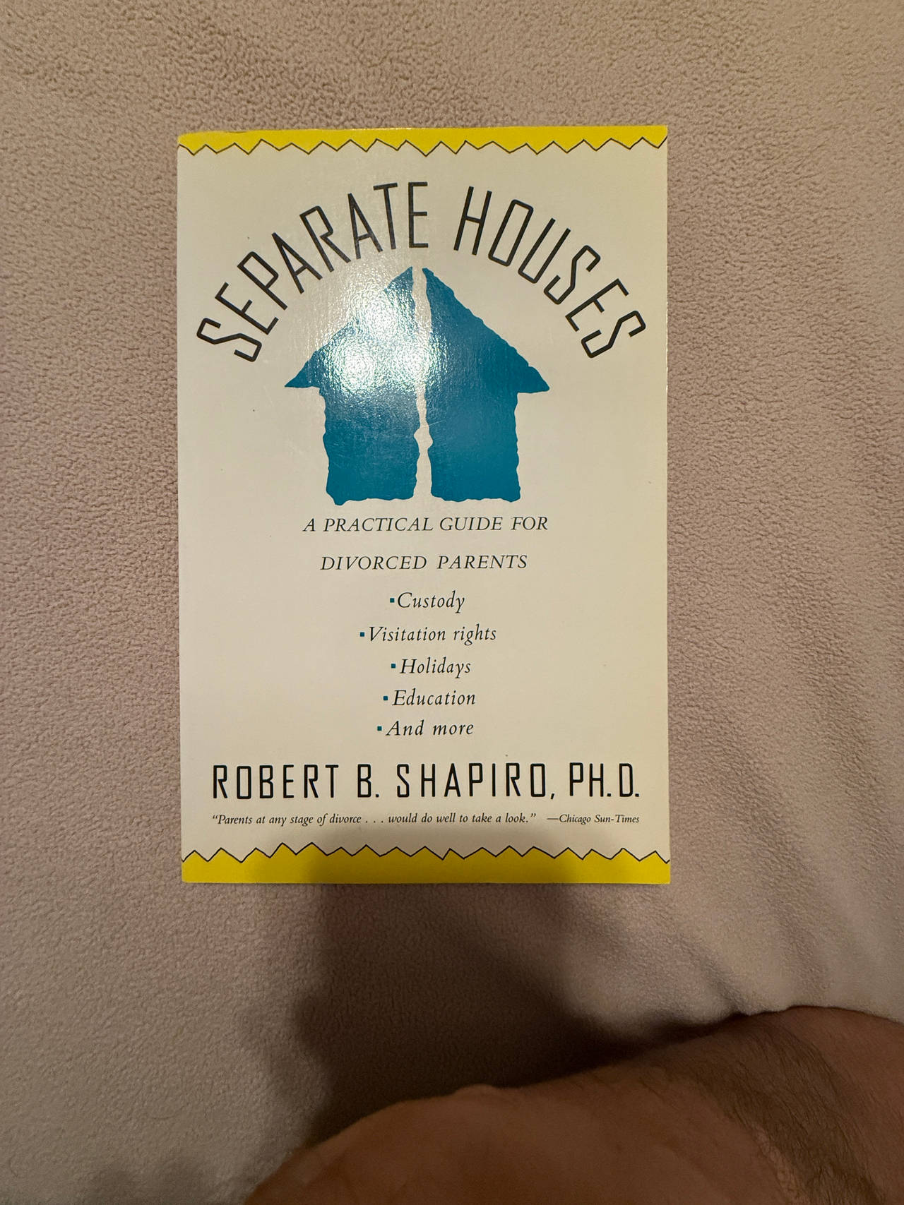 Separate Houses: A Practical Guide for Divorced Parents