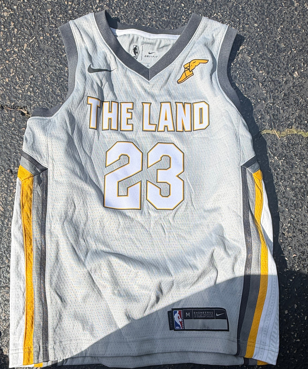 Nike LeBron James Cleveland Cavaliers 'The Land' City Edition Jersey