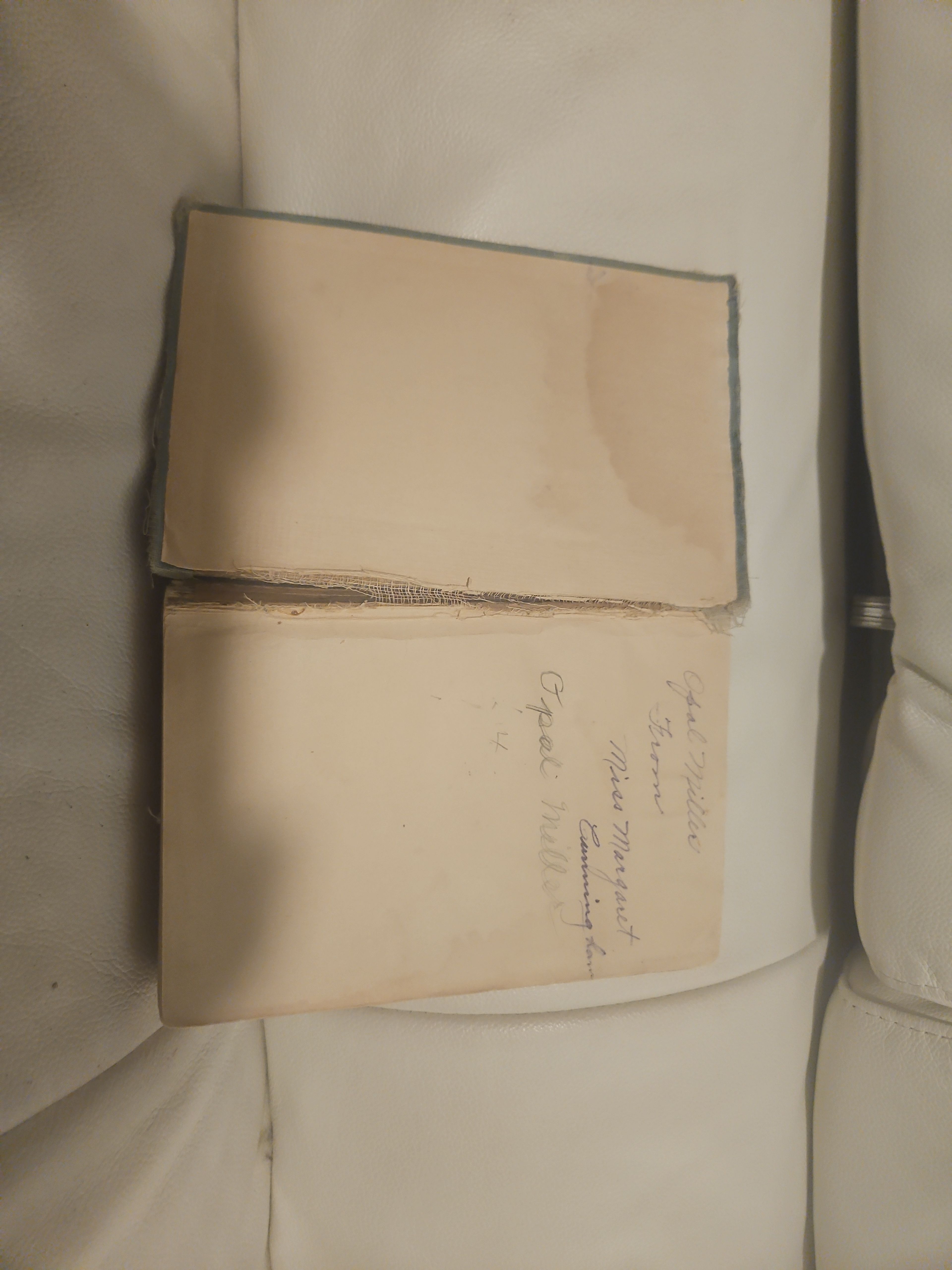 The Reclaimers by Margaret Hill McCarter - Image 4