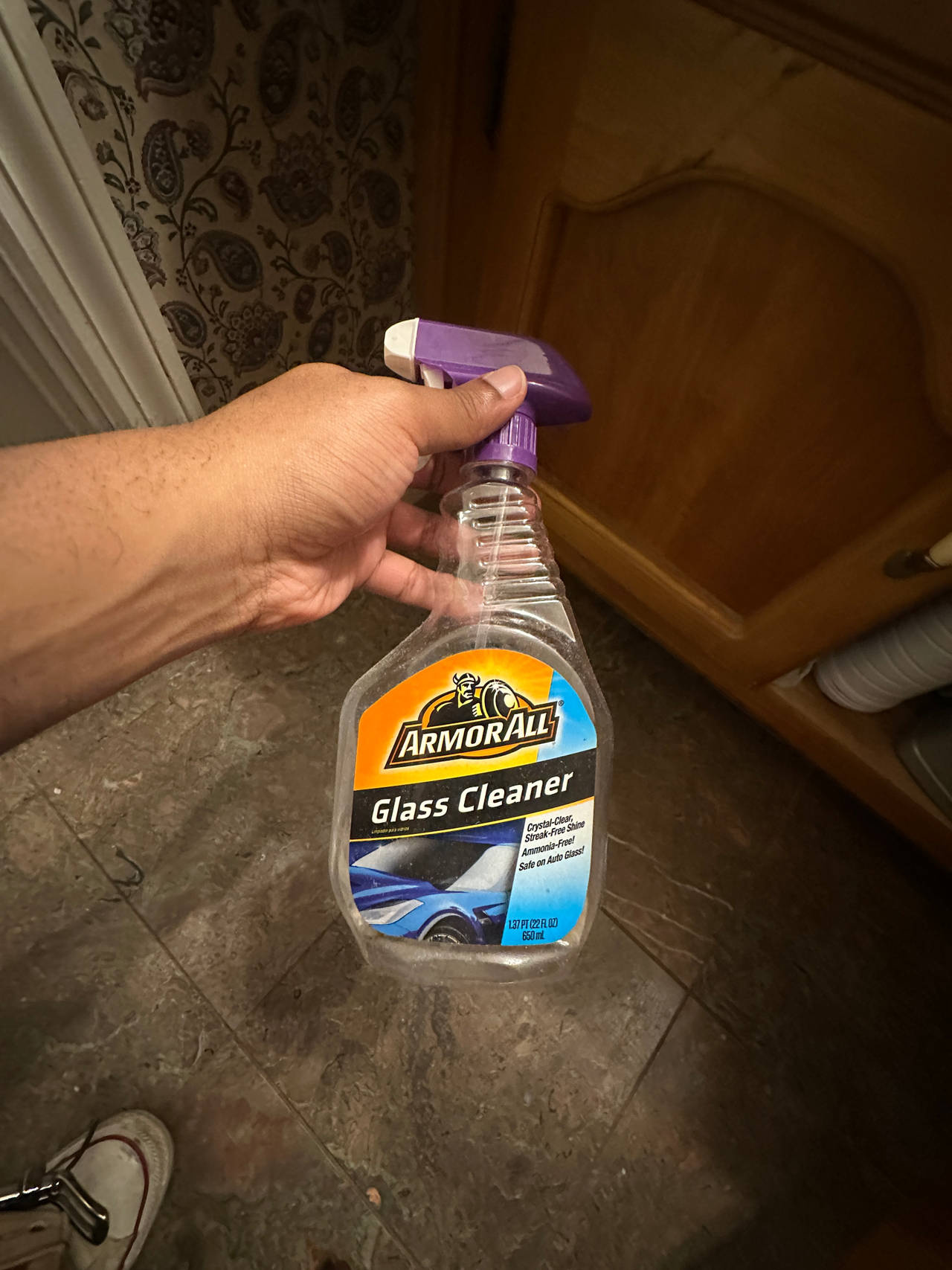 Armor All Glass Cleaner 22 fl oz