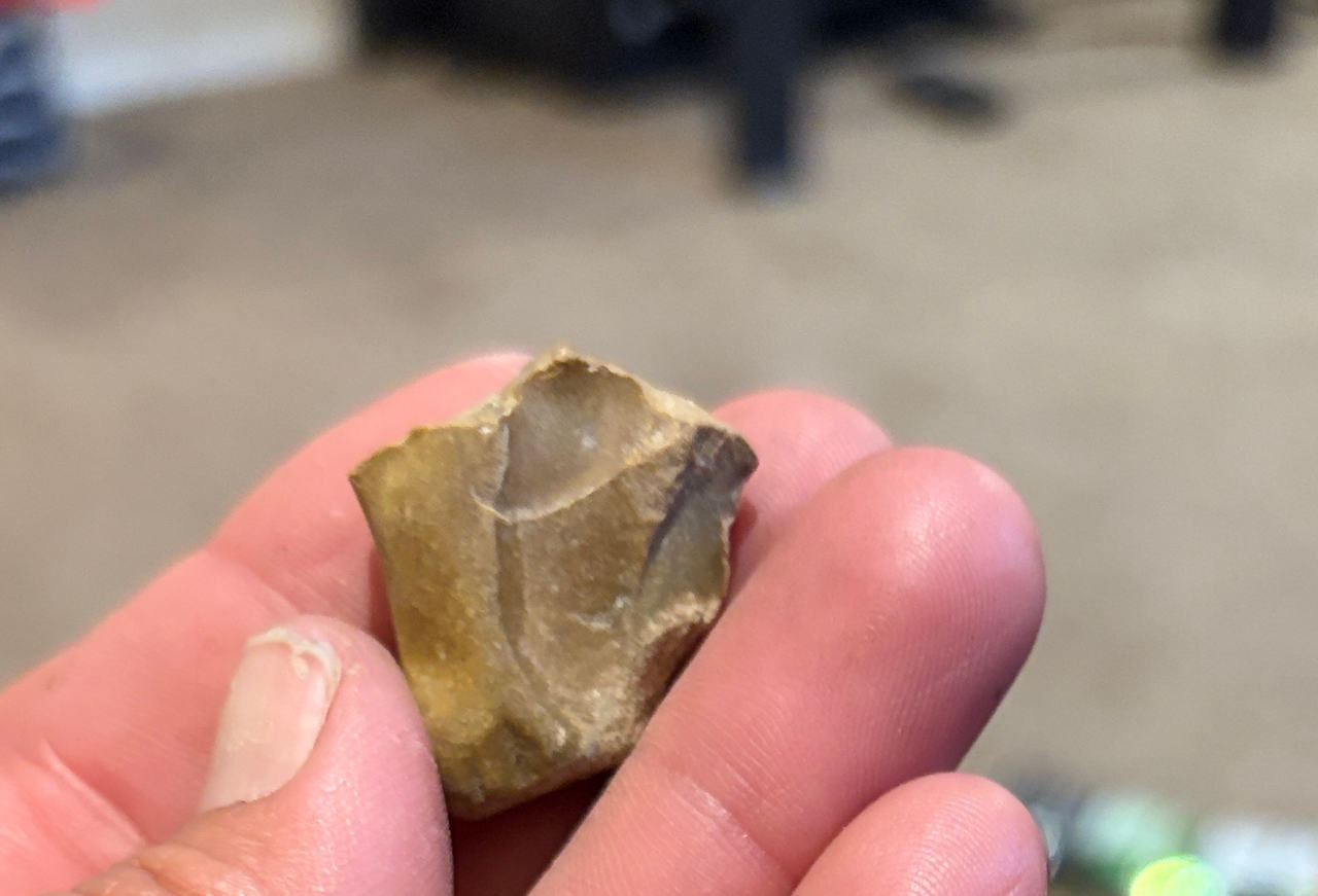 Native American Lithic Flake Artifact