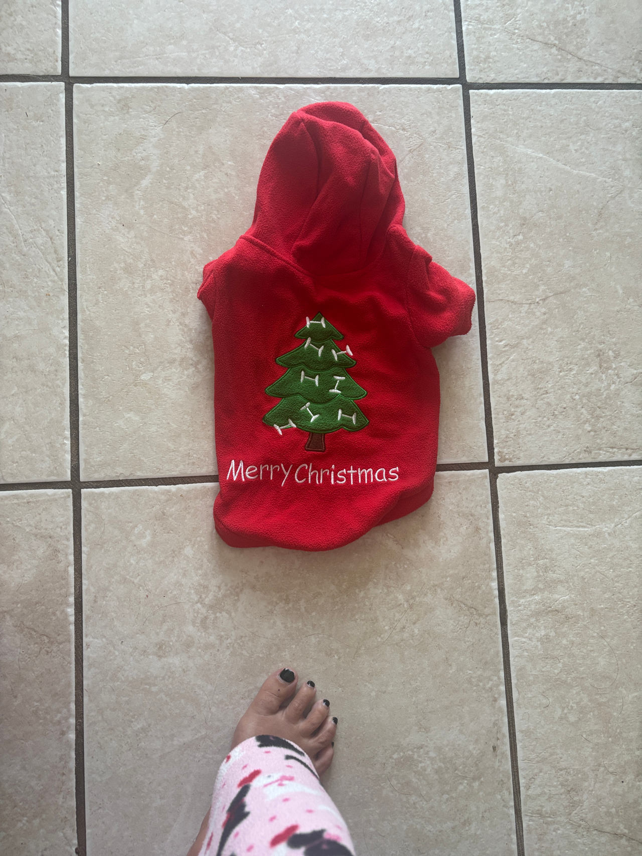 Christmas Dog Hoodie