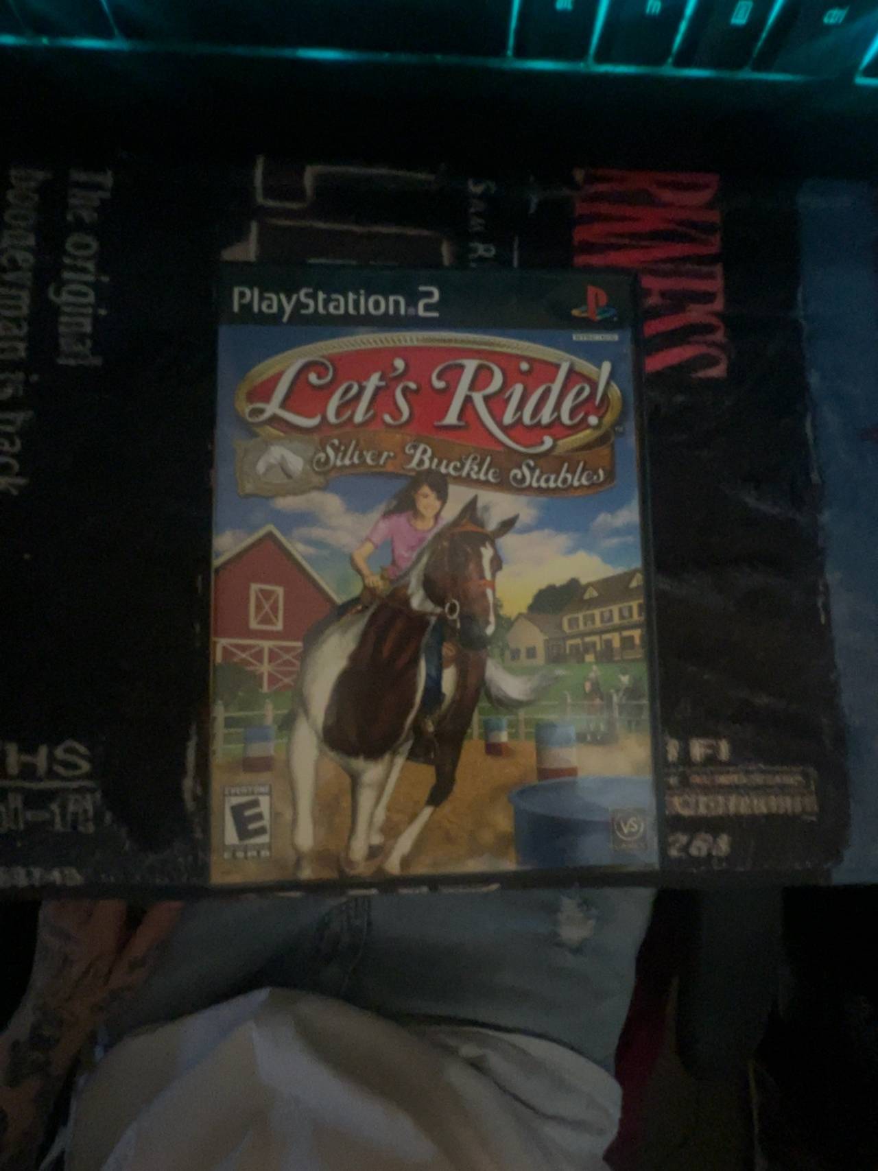 Let's Ride: Silver Buckle Stables (PlayStation 2)
