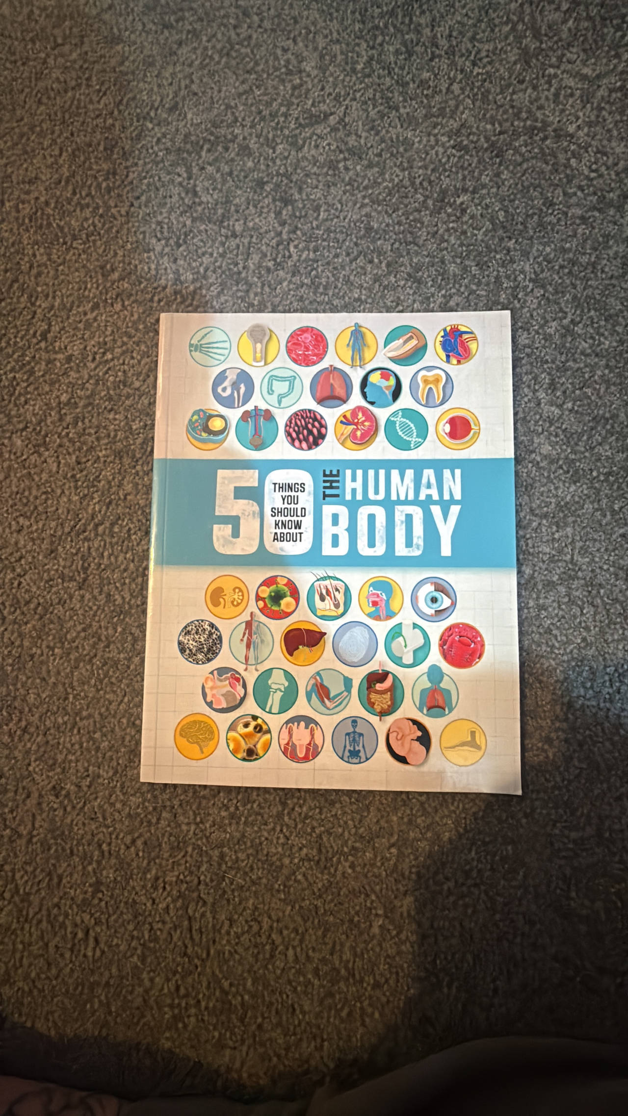 50 Things You Should Know About the Human Body