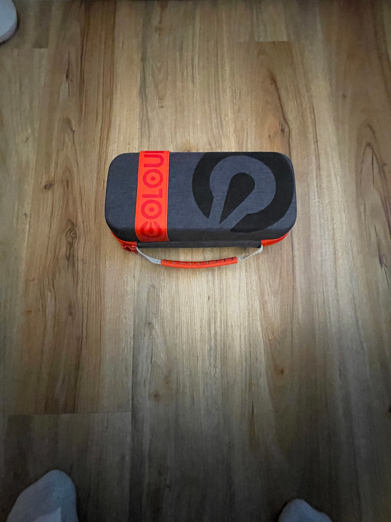 Carrying Case for Nintendo Switch