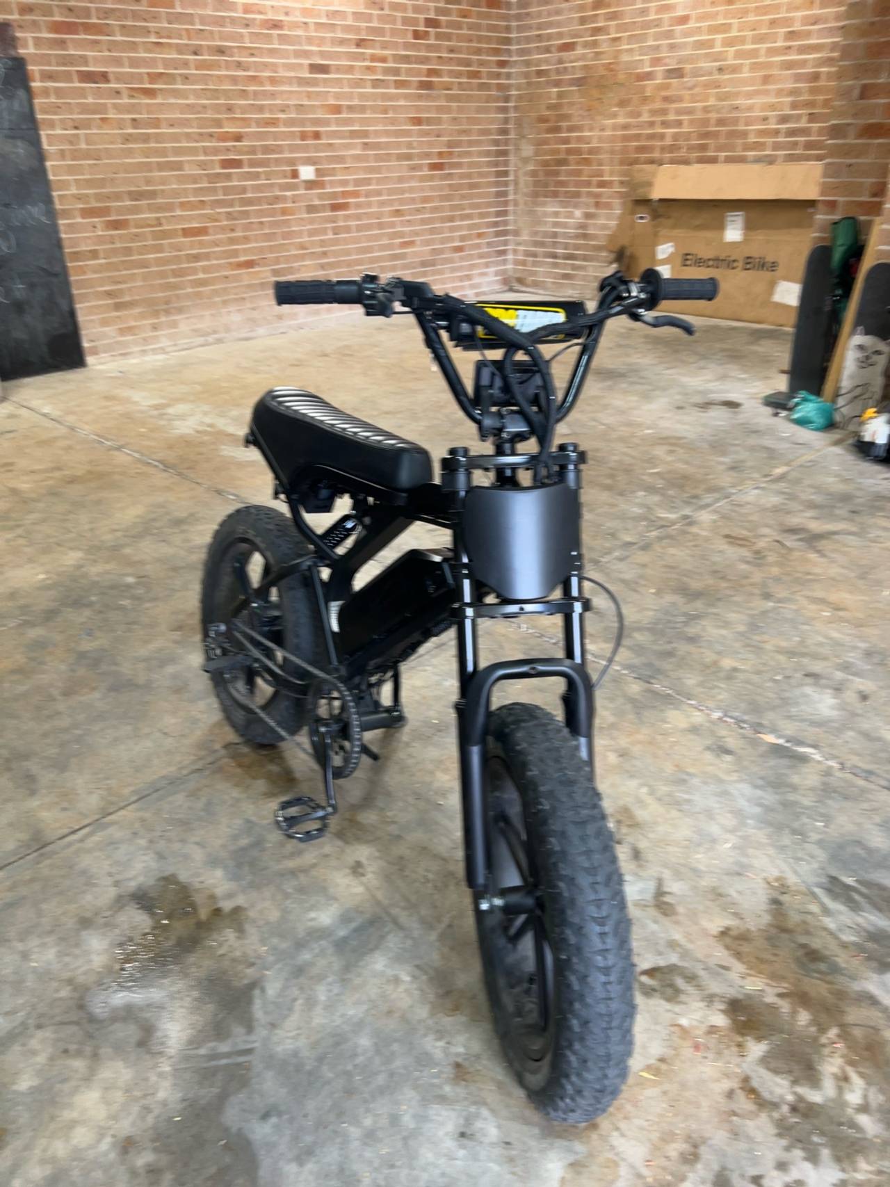 Ridstar Electric Fat Tire Bike 20-inch Black