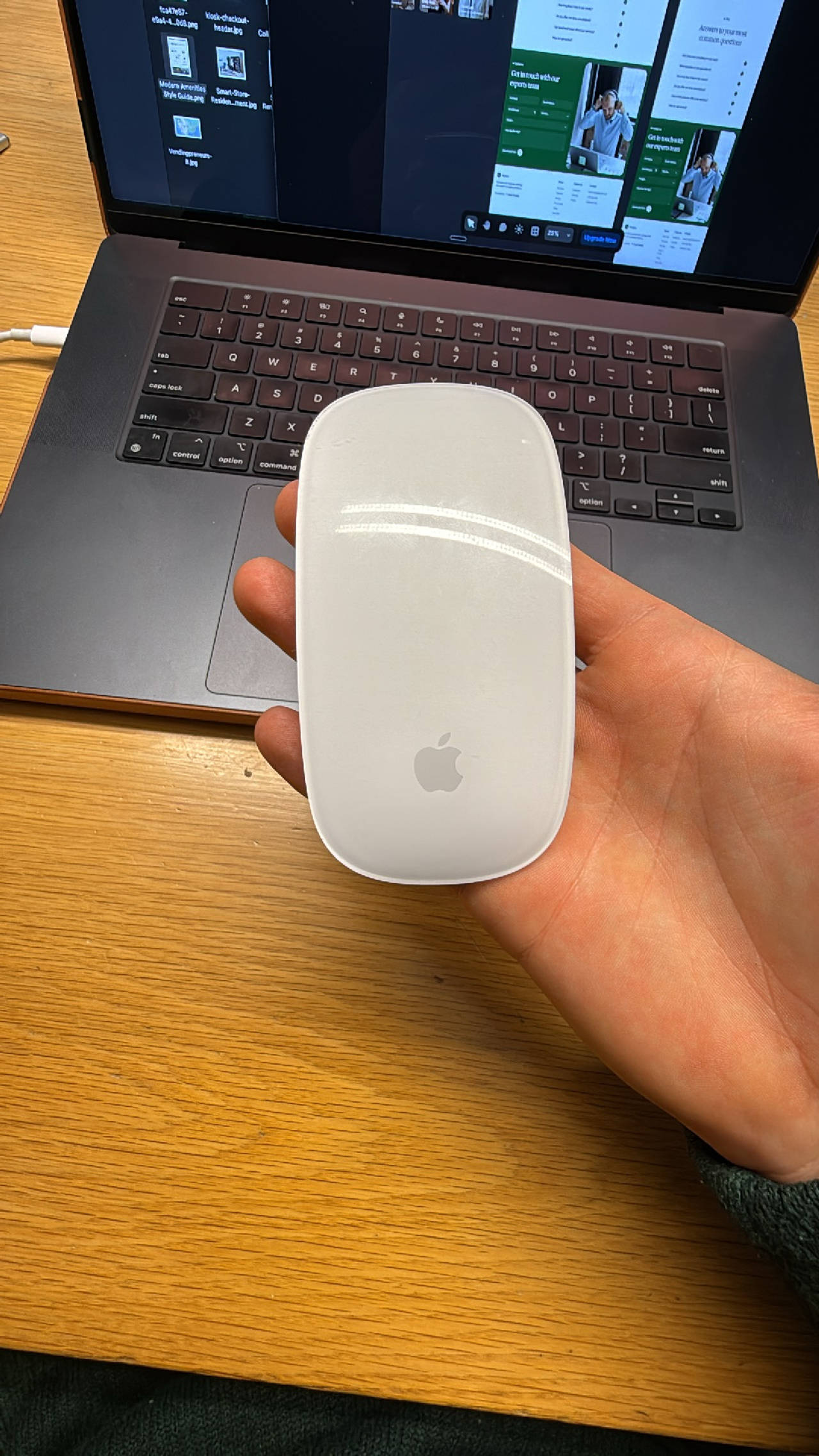 Apple Magic Mouse