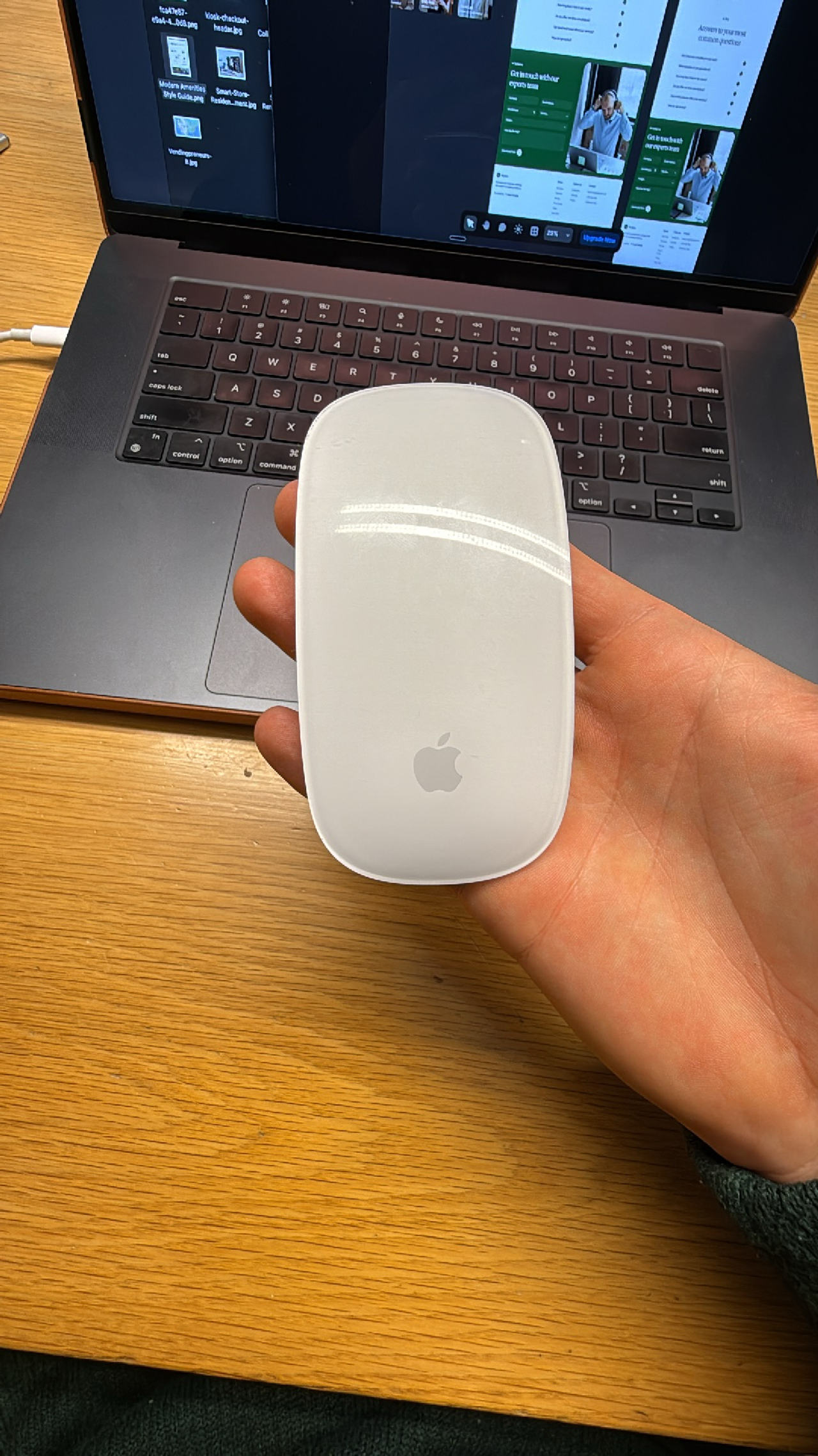 Apple Magic Mouse