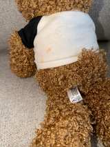 LIONEL RICHIE Teddy Bear Plush 8-inch Concert Plush - Image 4