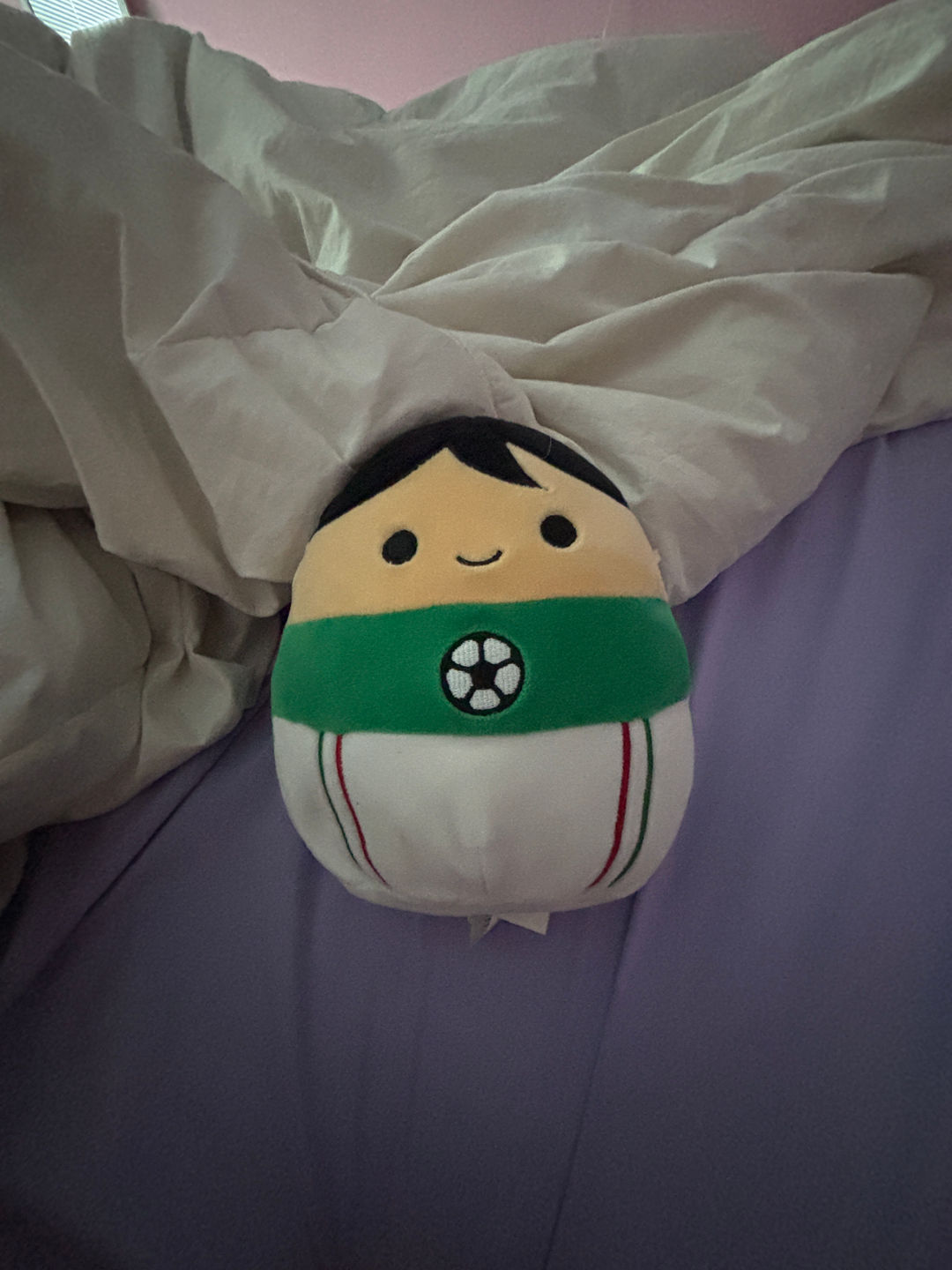 Squishmallows Plush Toy