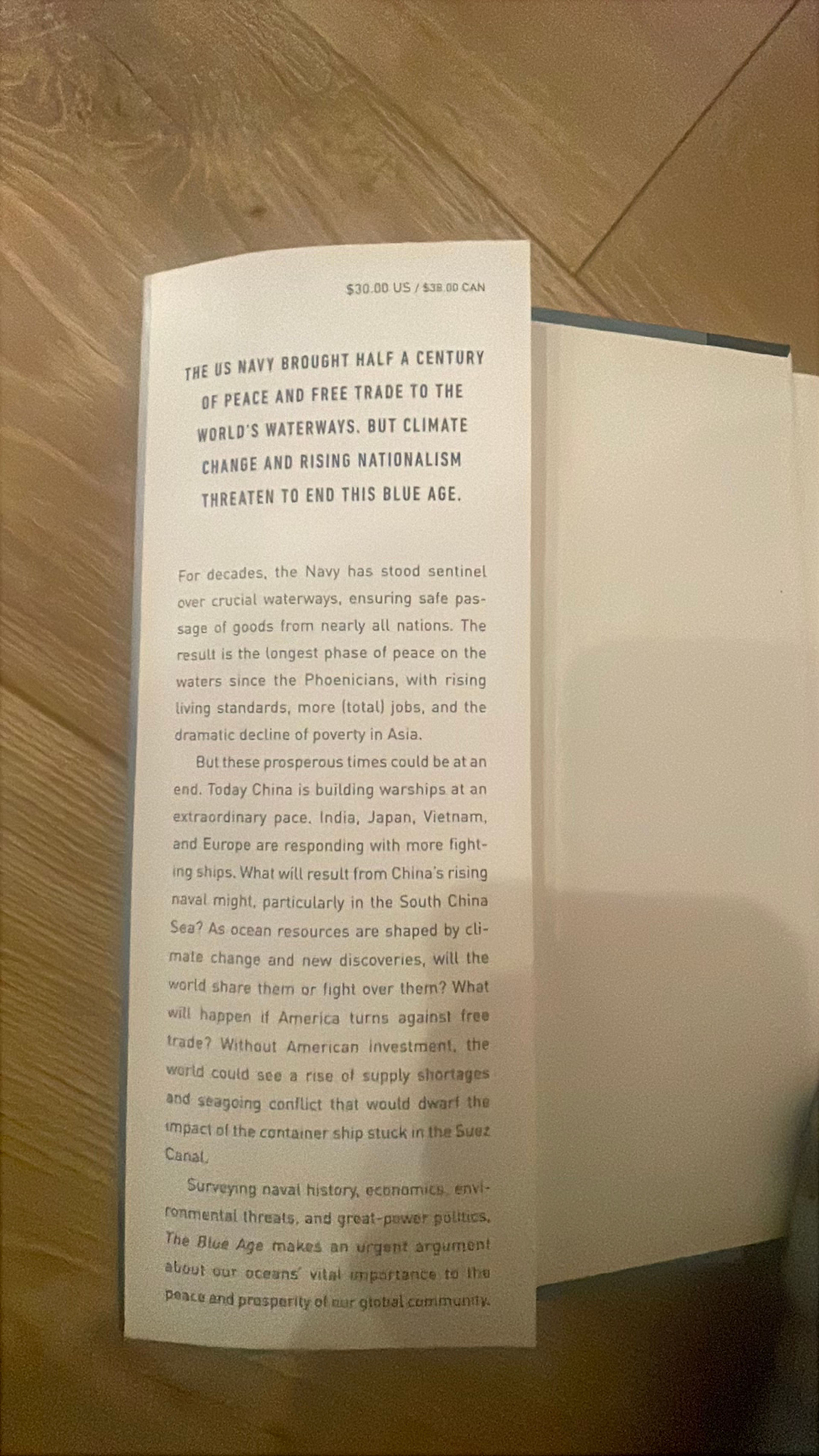 The Blue Age by Gregg Easterbrook - Image 3