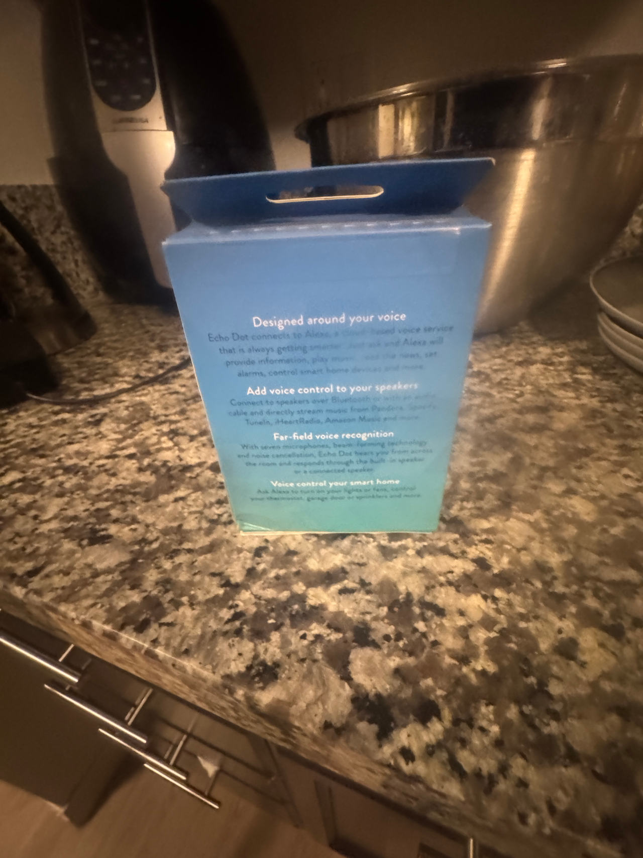 Amazon Echo Dot