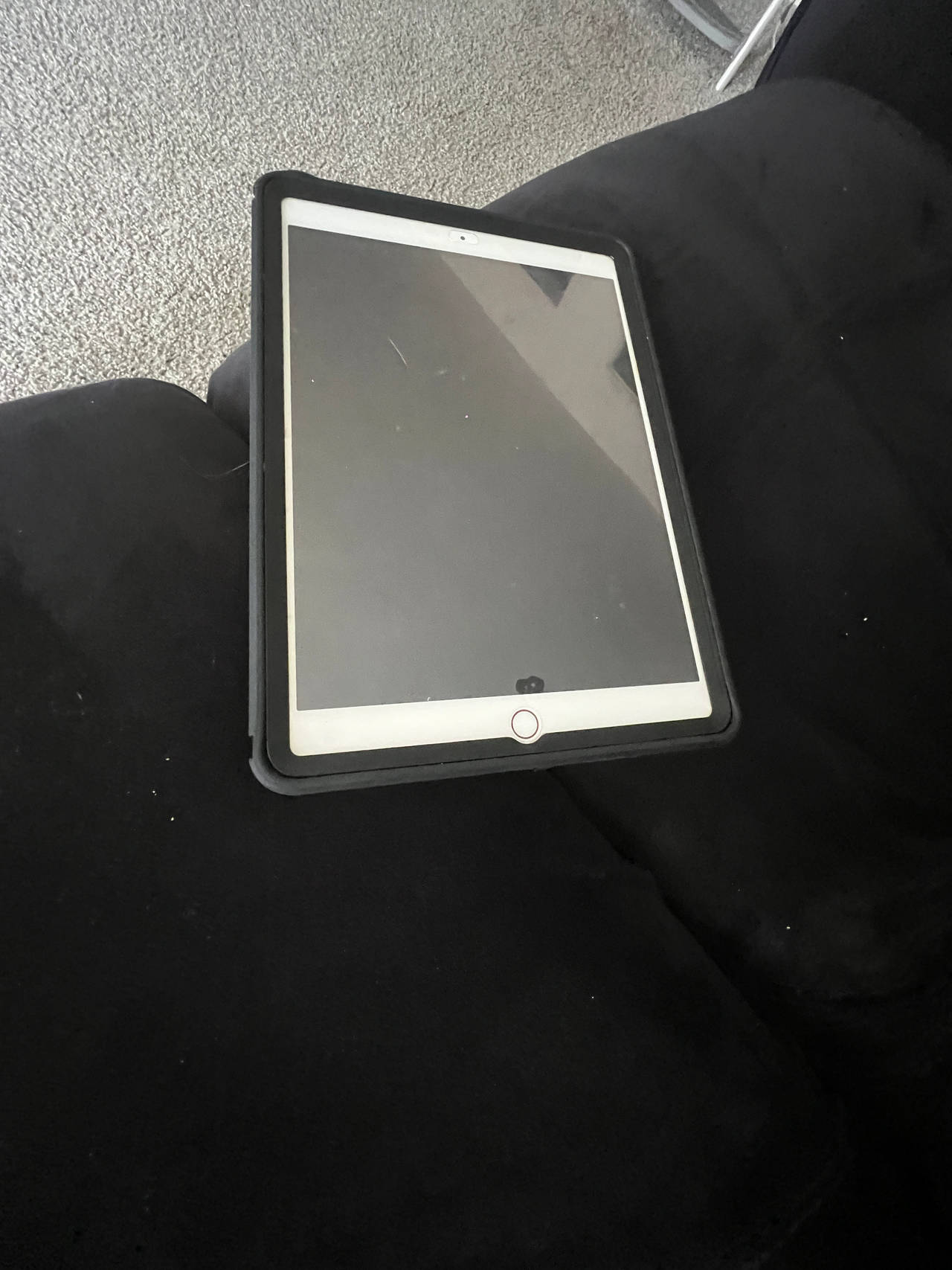 Apple iPad