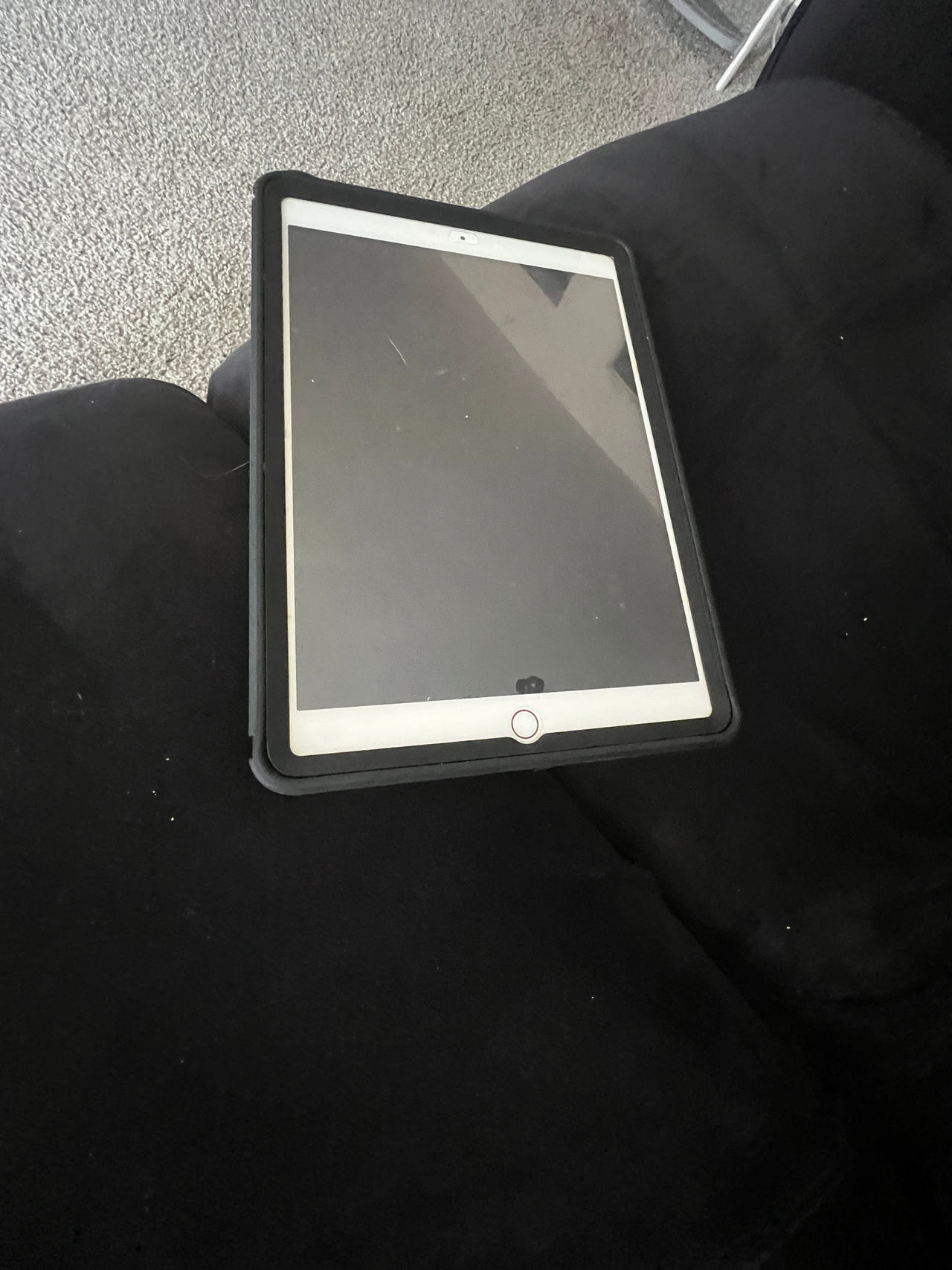 Apple iPad