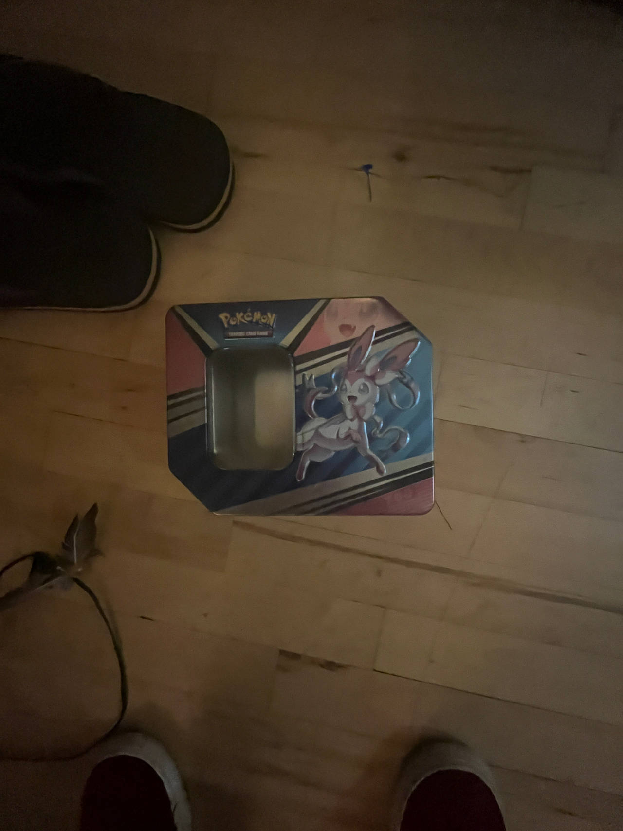 Pokémon Trading Card Game Tin