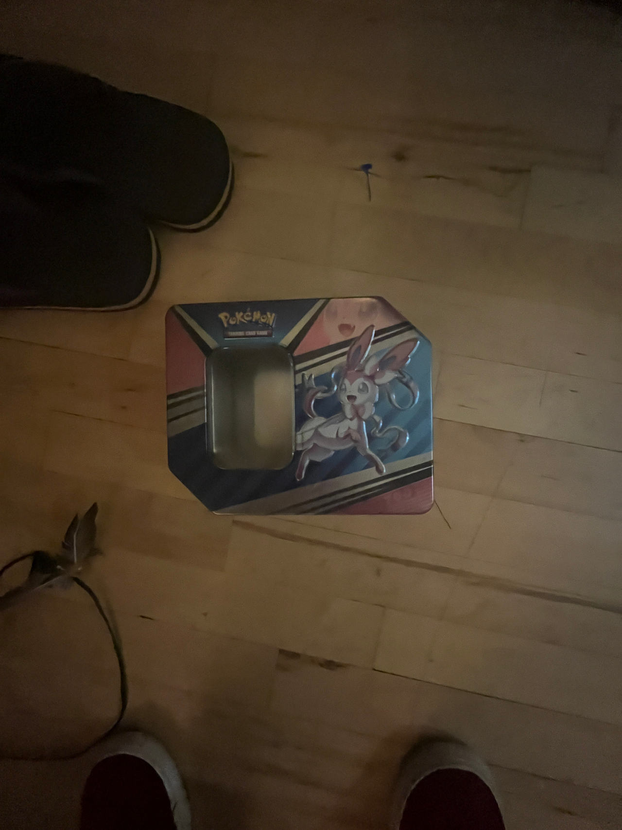 Pokémon Trading Card Game Tin
