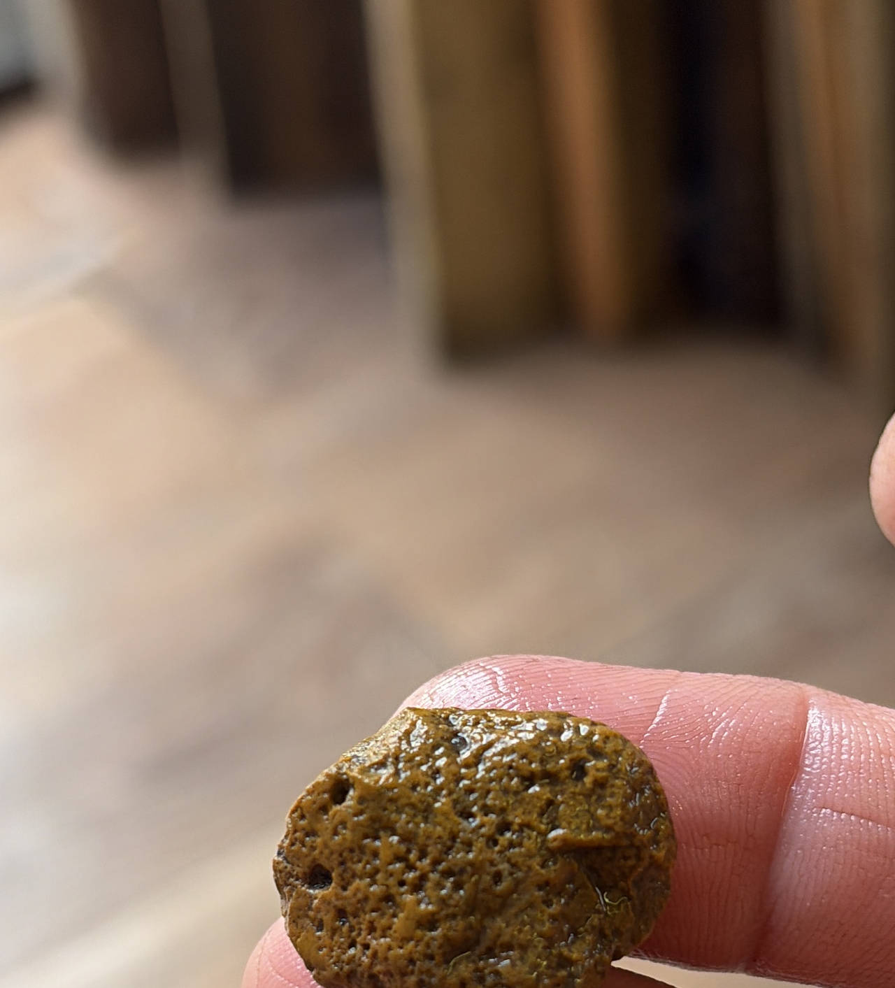 Petoskey Stone Fossilized Coral