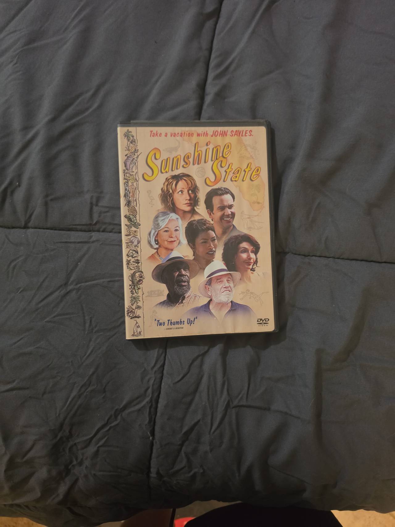 Sunshine State (DVD, 2002)